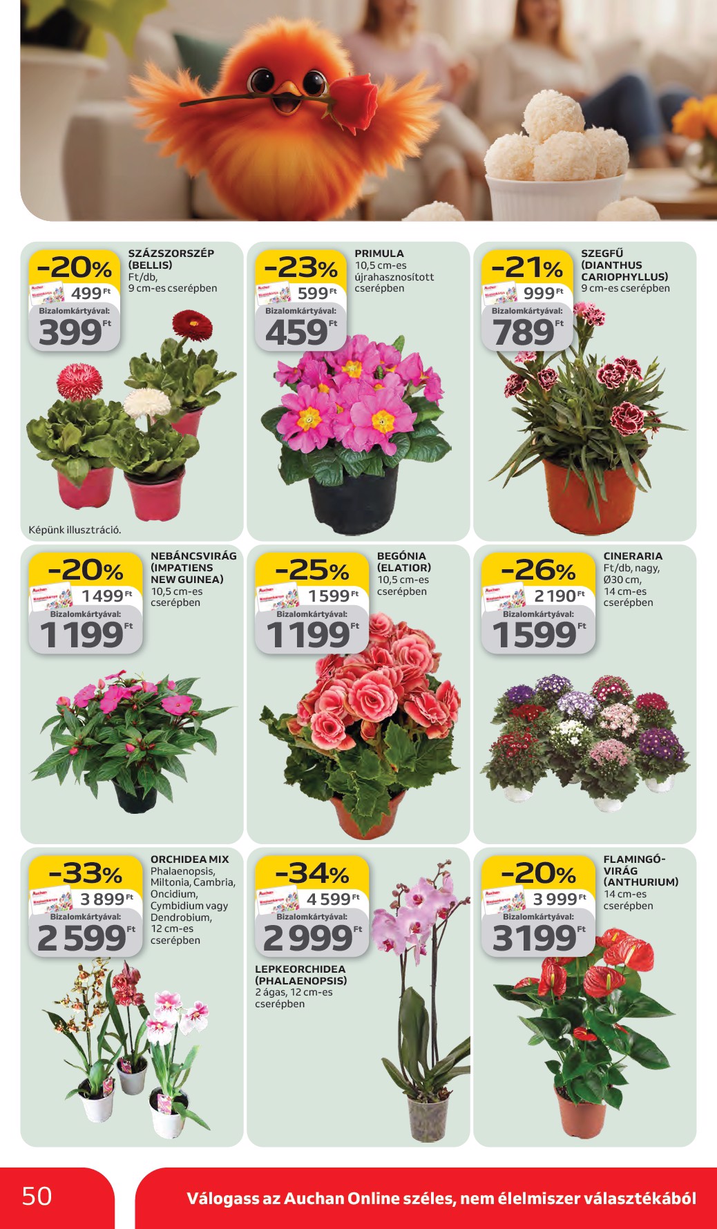 auchan - Auchan Hipermarket akciós újság, érvényes 2026.03.05. - 2026.03.11. - page: 50