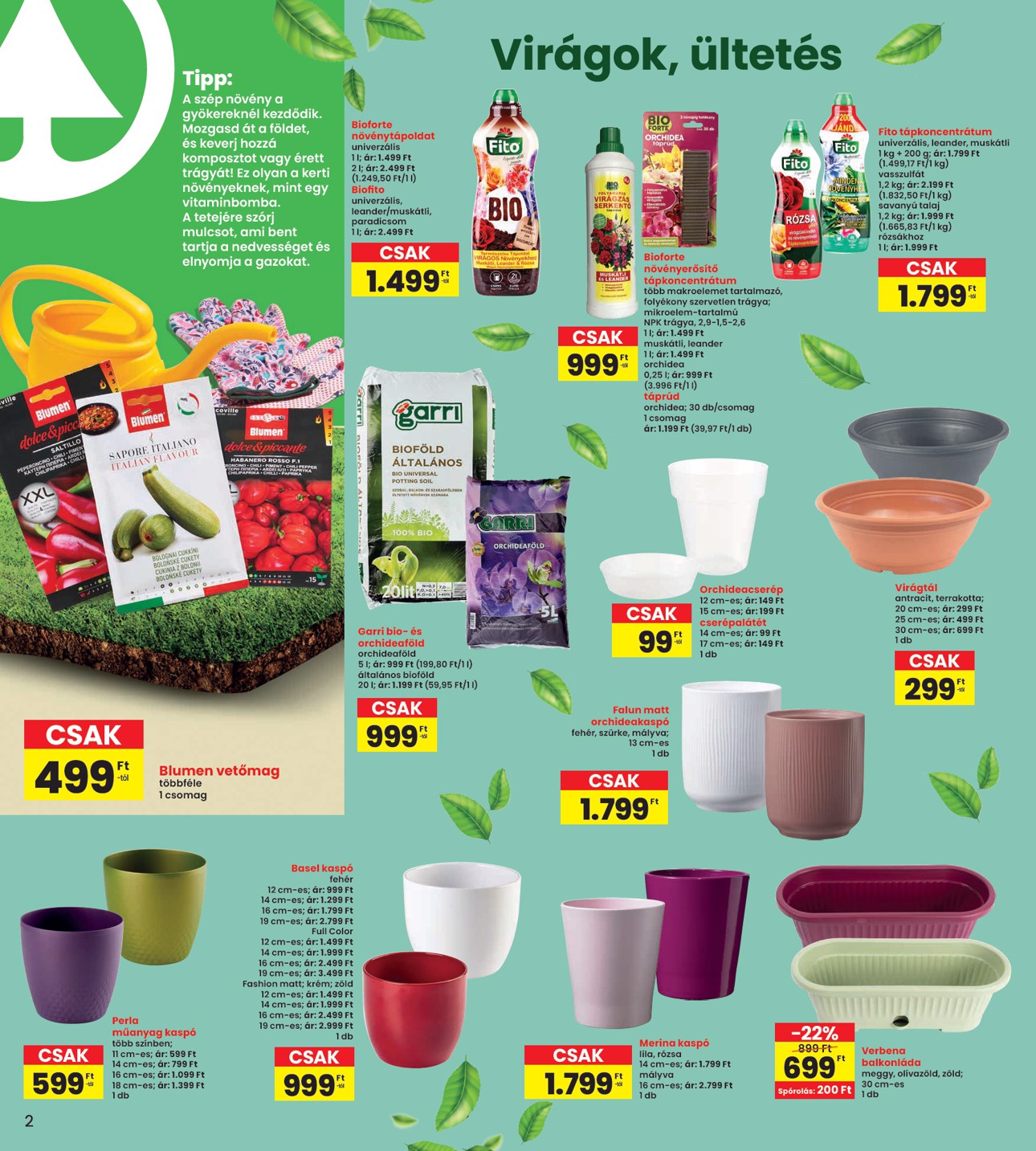 spar - INTERSPAR - Kert katalógus akciós újság, érvényes 2026.03.19. - 2026.03.25. - page: 2