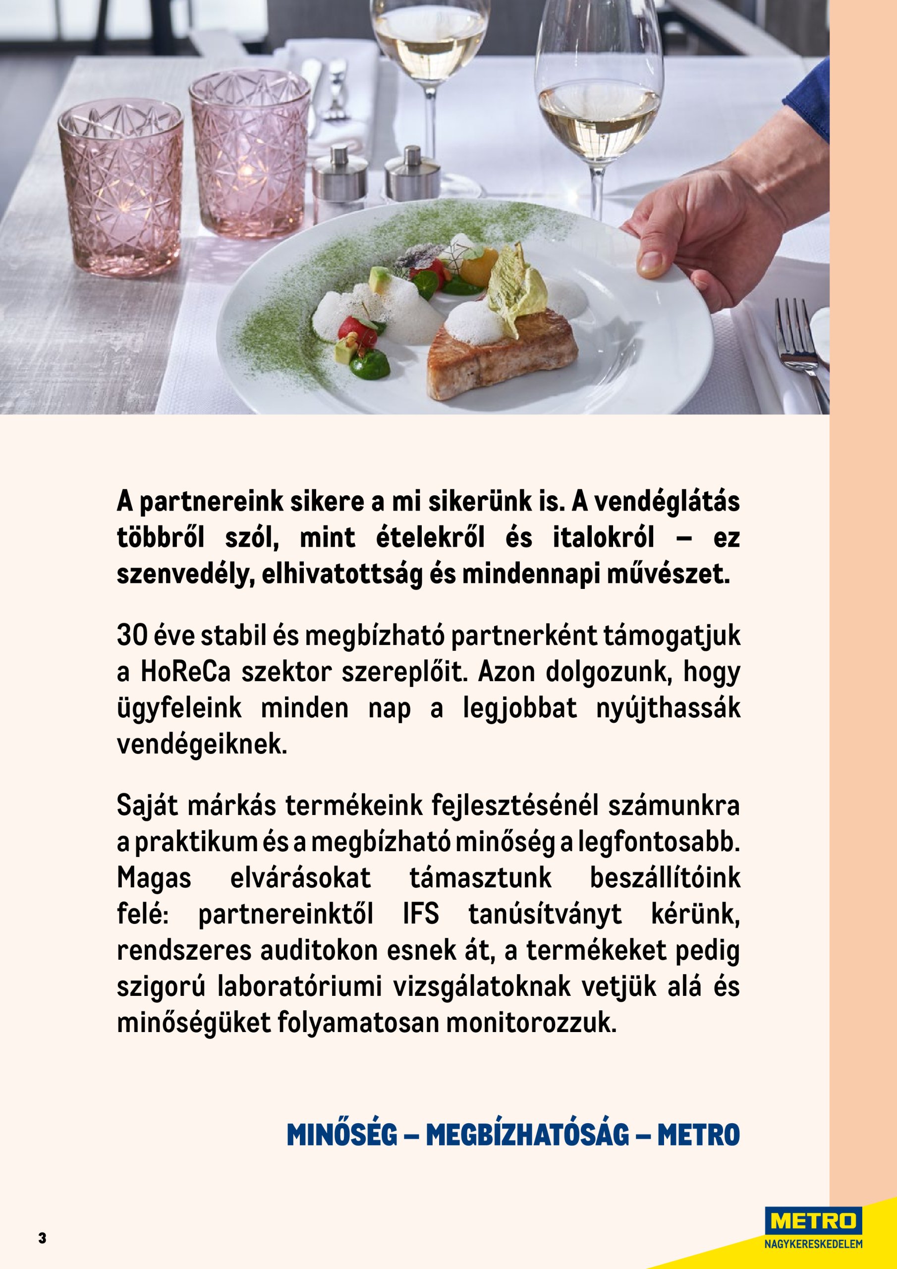 metro - Metro - Professzionális termékek akciós újság, érvényes 06.01. - 06.30. - page: 3