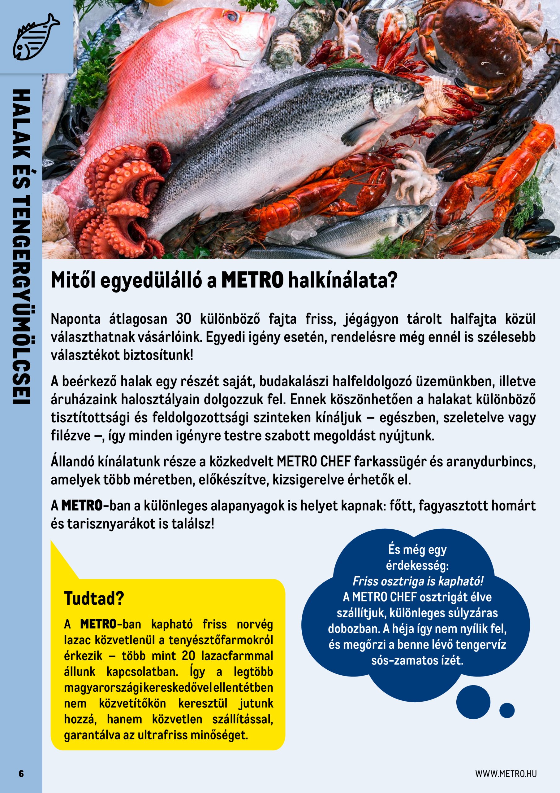 metro - Metro - Professzionális termékek akciós újság, érvényes 06.01. - 06.30. - page: 6