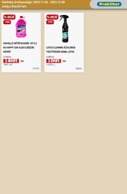 praktiker - Praktiker akciós újság, érvényes 11.06. - 12.08. - page: 17