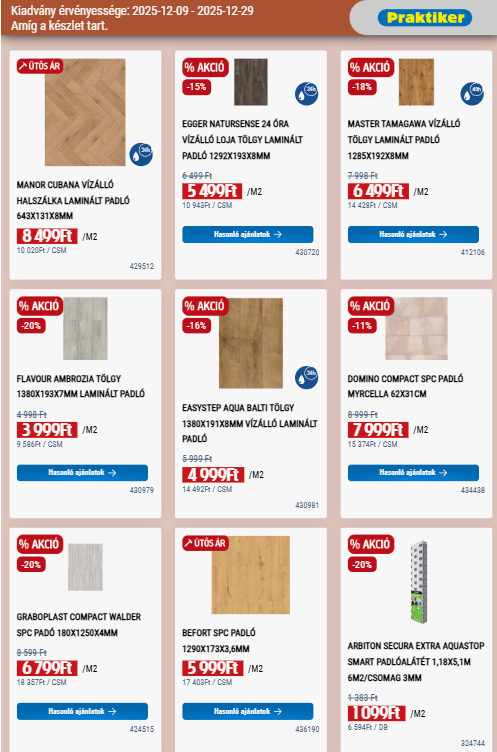 praktiker - Praktiker akciós újság, érvényes 12.09. - 12.29. - page: 10