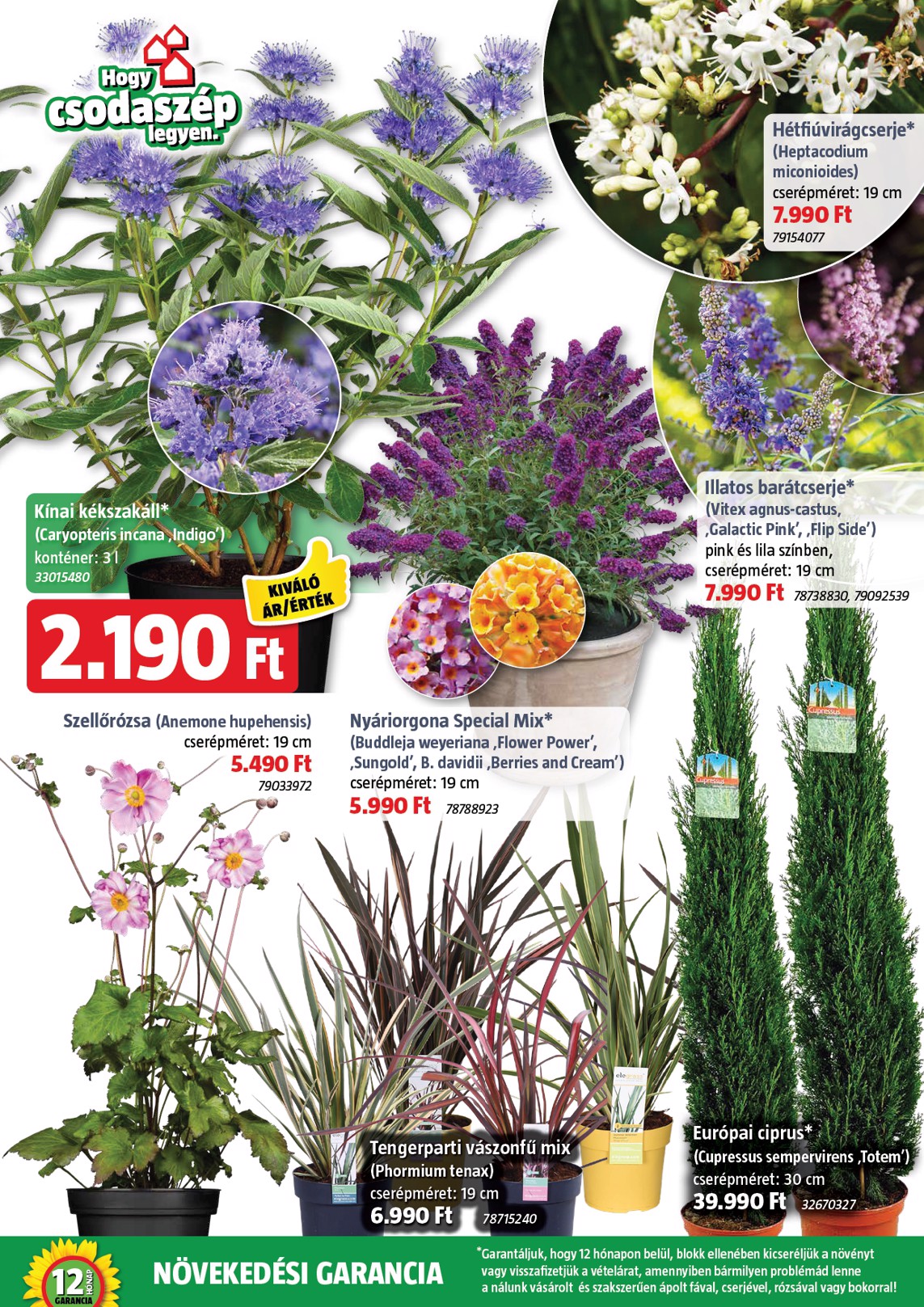 bauhaus - BAUHAUS akciós újság, érvényes 08.07. - 09.02. - page: 15