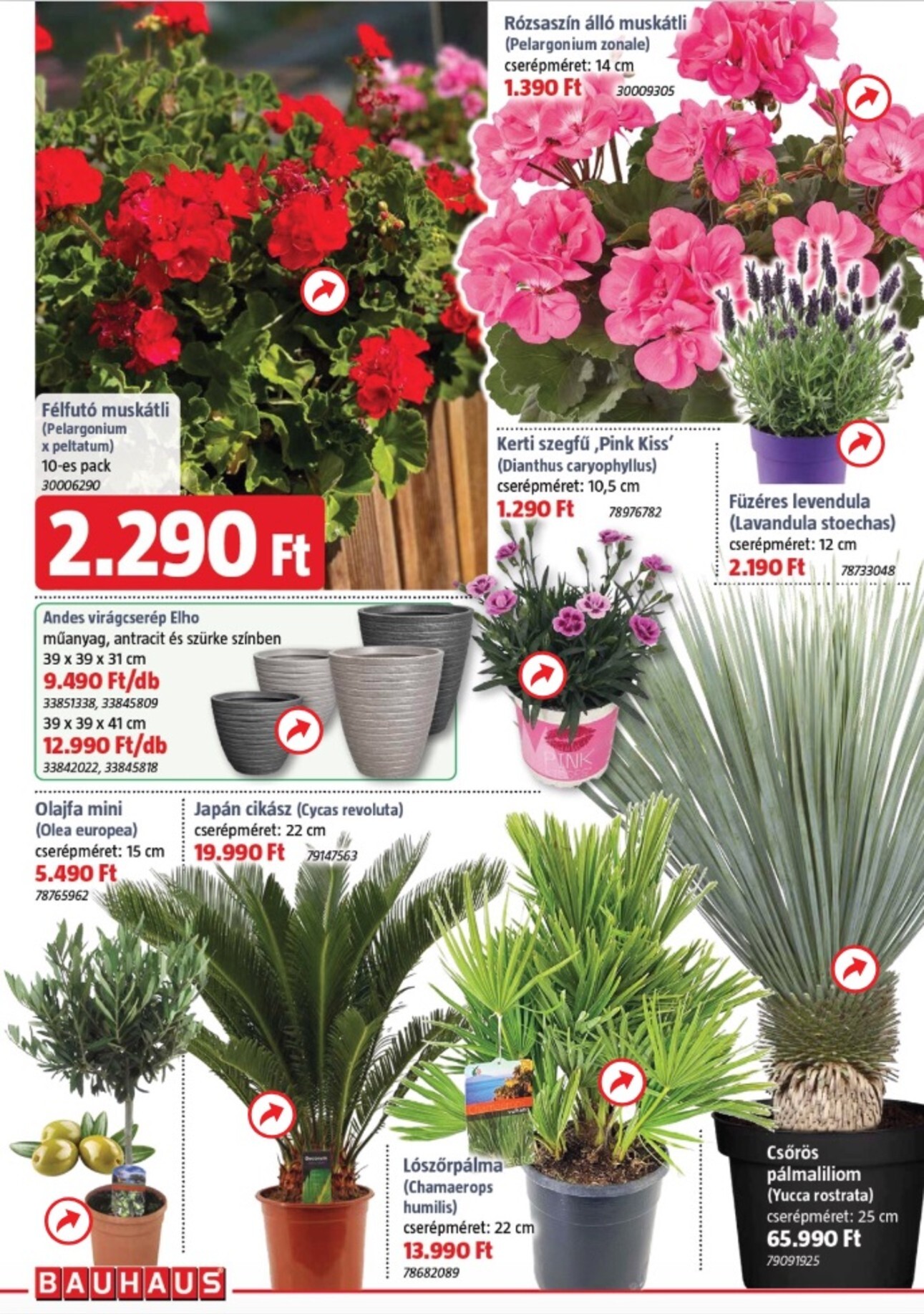 bauhaus - BAUHAUS akciós újság, érvényes 2026.04.02. - 2026.05.05. - page: 2