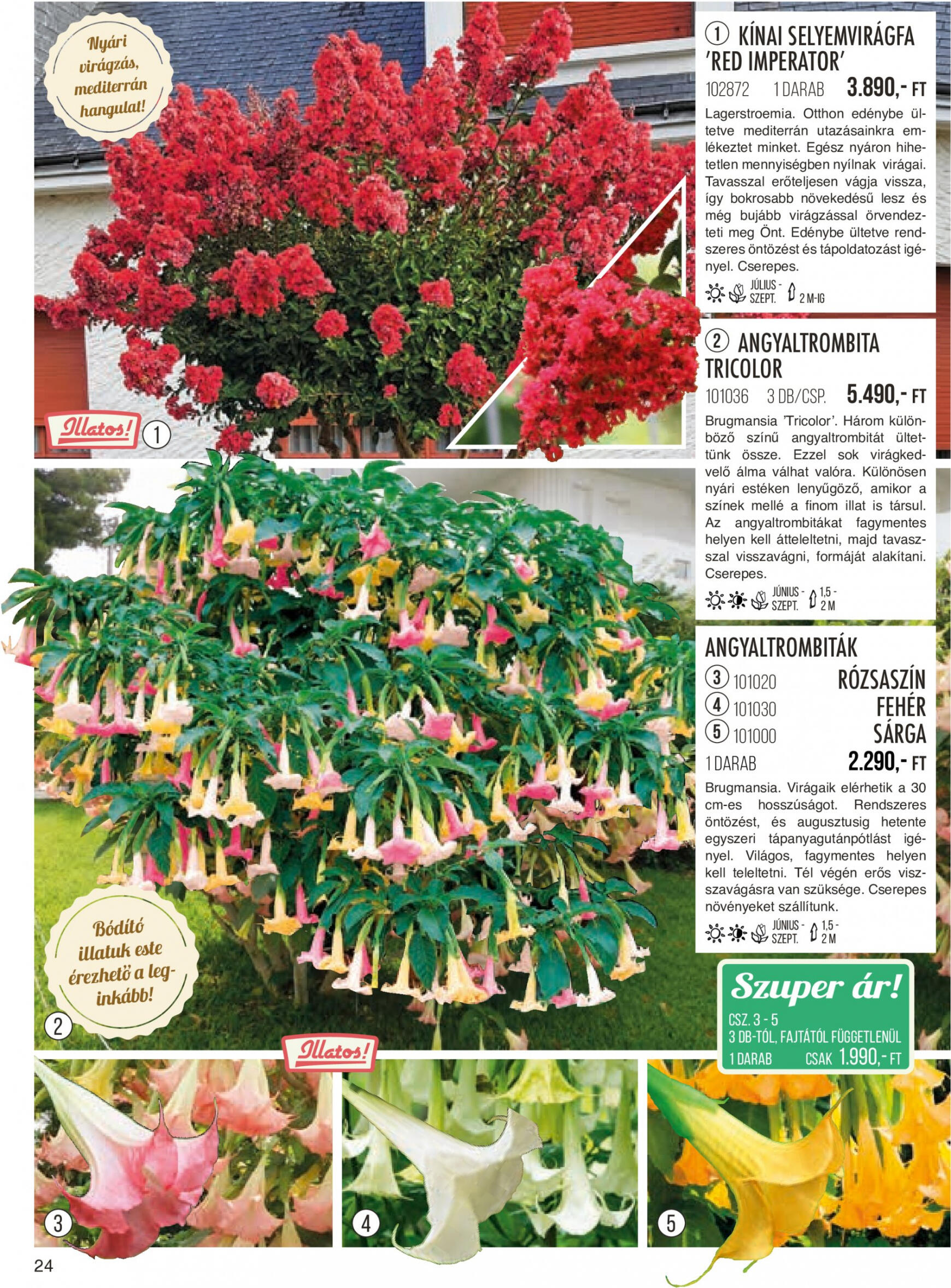 starkl - Starkl dátumtól érvényes 2023.12.21. - page: 24 starkl - Starkl dátumtól érvényes 2023.12.21. - page: 24