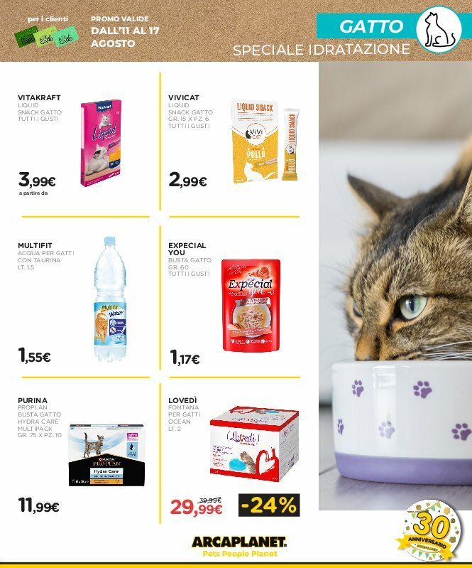 arcaplanet - Volantino Arcaplanet valido dal 11/08 al 17/08 - page: 13