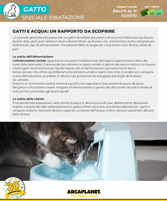 arcaplanet - Volantino Arcaplanet valido dal 11/08 al 17/08 - page: 12