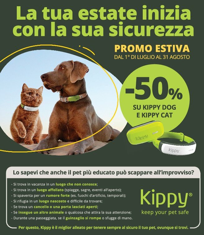 arcaplanet - Volantino Arcaplanet valido dal 11/08 al 17/08 - page: 19