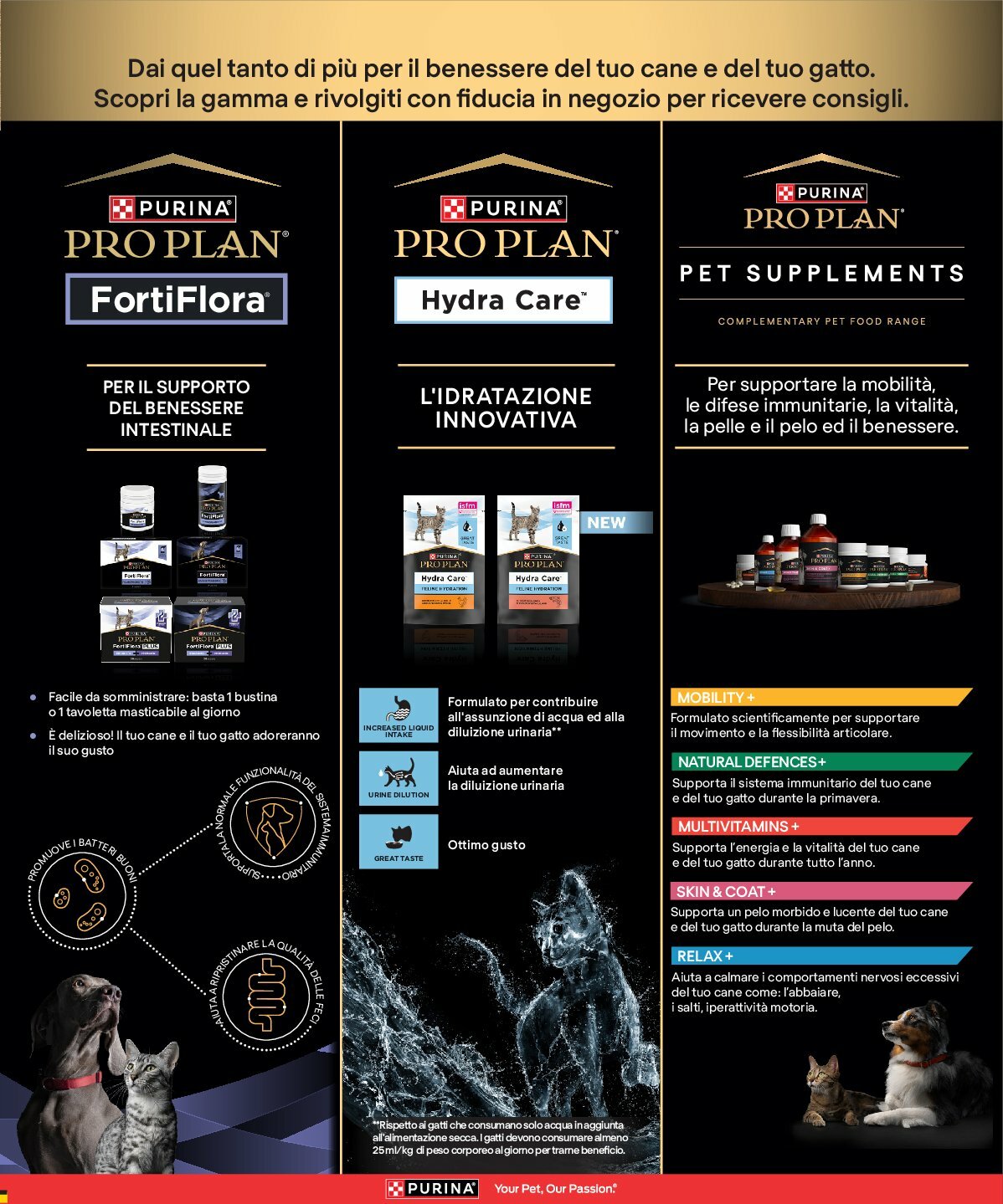 arcaplanet - Volantino Arcaplanet valido dal 18/08 al 31/08 - page: 15