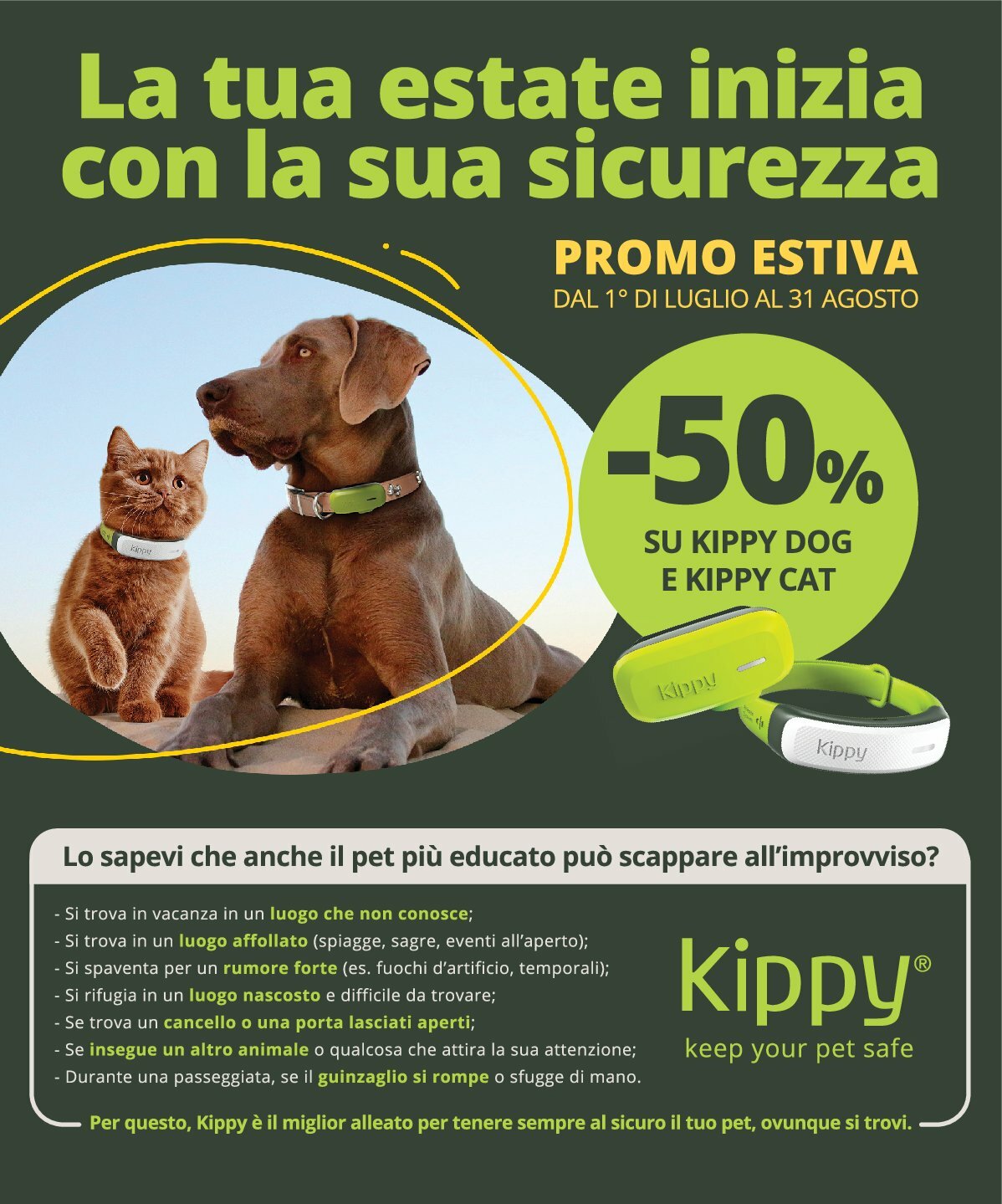 arcaplanet - Volantino Arcaplanet valido dal 18/08 al 31/08 - page: 25