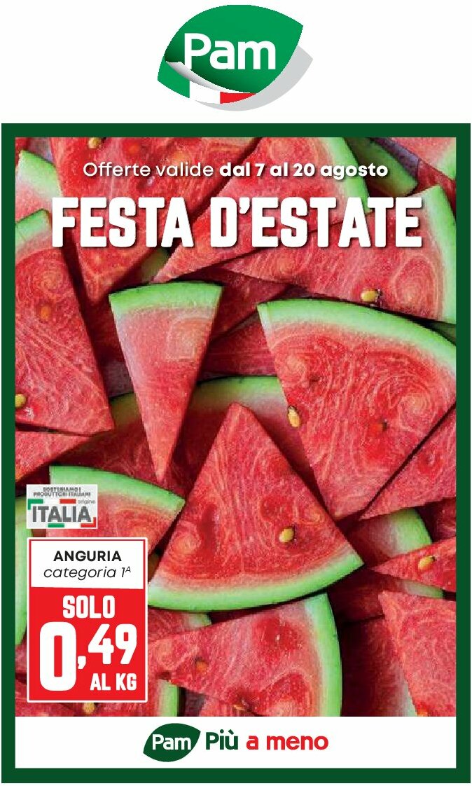 pam-retail-pro - Volantino Pam Retail Pro valido dal 07/08 al 20/08