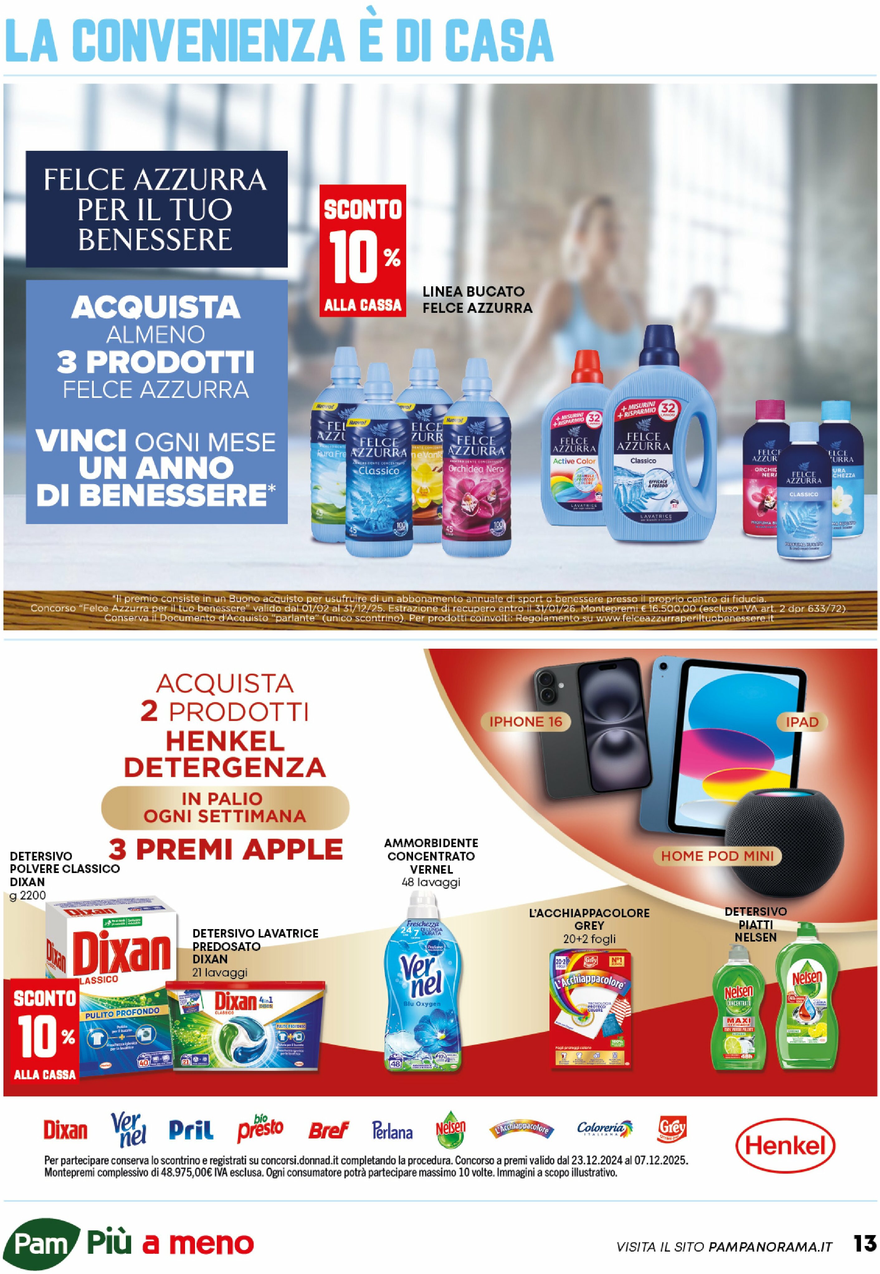 pam-retail-pro - Volantino Pam Retail Pro - Occasioni Extra valido dal 21/08 al 10/09 - page: 13