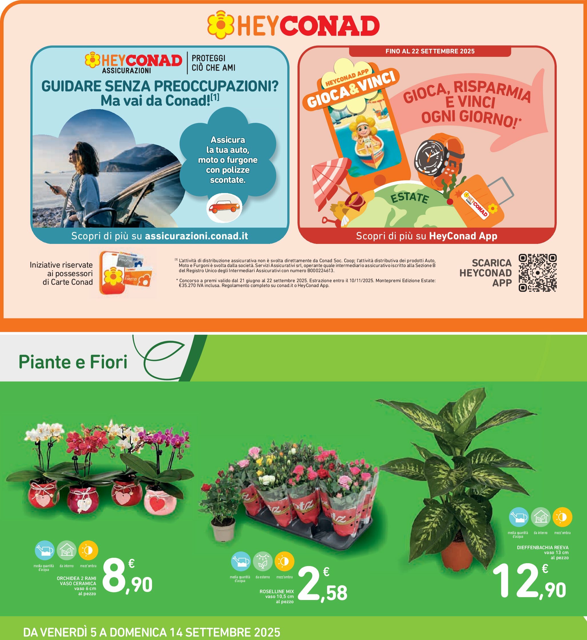 spazio-conad - Volantino Spazio Conad - Bologna valido dal 05/09 al 14/09 - page: 35