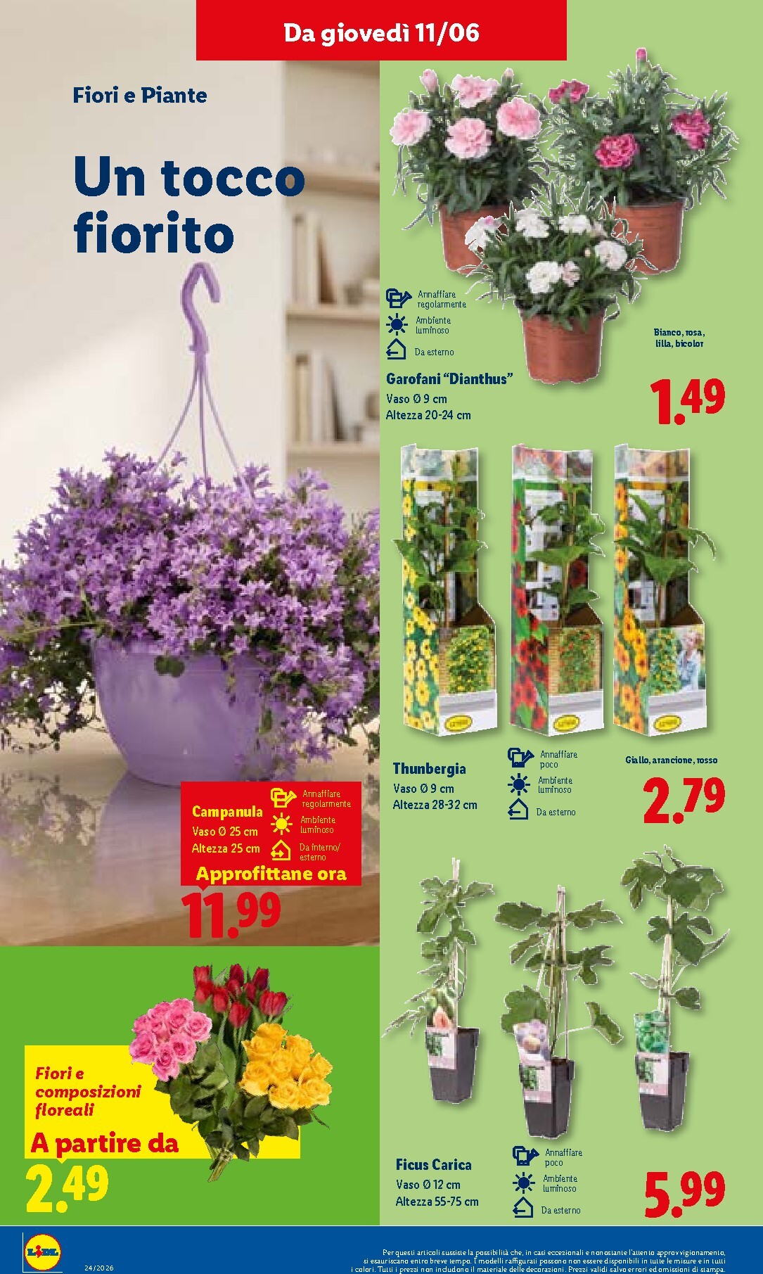 lidl - Volantino Lidl per la prossima settimana dal giovedì 11/06/2026 al mercoledì 17/06/2026 - page: 42