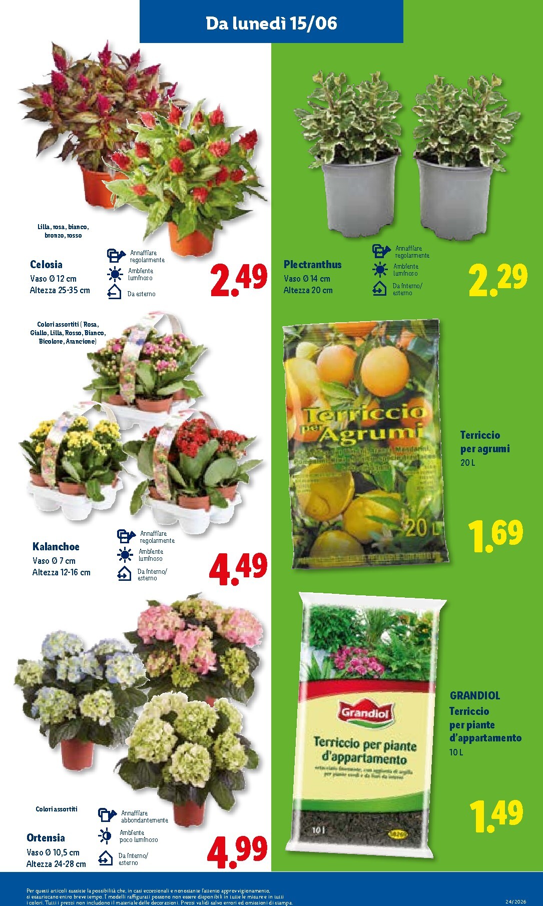 lidl - Volantino Lidl - Volantino settimanale per la prossima settimana dal giovedì 11/06/2026 al mercoledì 17/06/2026 - page: 43