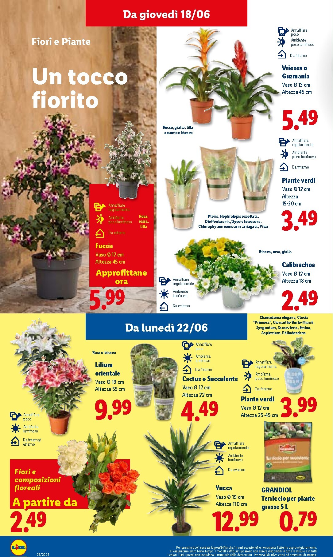 lidl - Volantino futuro Lidl valido dal giovedì 18/06/2026 al mercoledì 24/06/2026 - page: 32