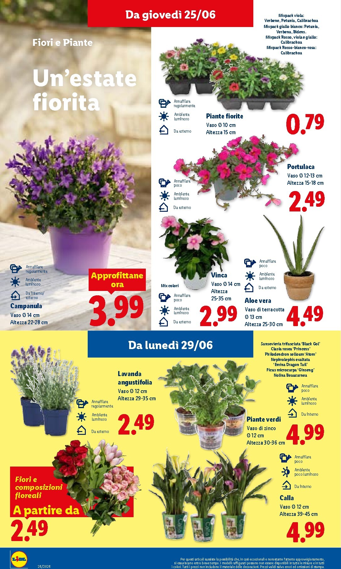 lidl - Volantino Lidl per la prossima settimana dal giovedì 25/06/2026 al mercoledì 01/07/2026 - page: 36