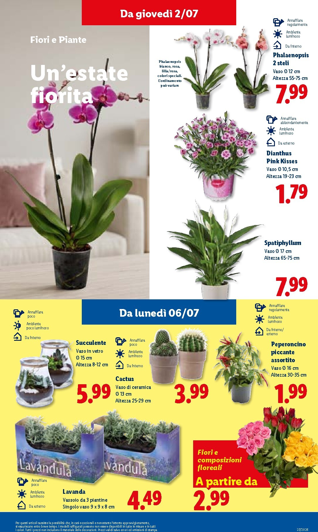 lidl - Volantino attuale di Lidl valido dal giovedì 02/07/2026 al mercoledì 08/07/2026 - page: 29