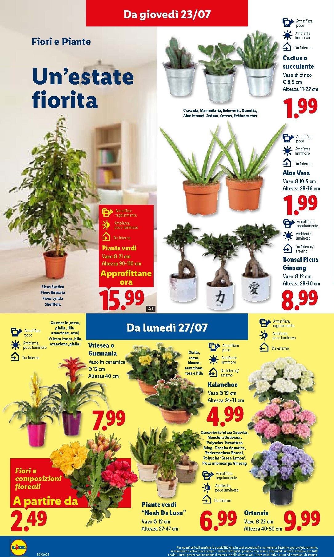 lidl - Volantino Lidl per la prossima settimana dal giovedì 23/07/2026 al mercoledì 29/07/2026 - page: 34