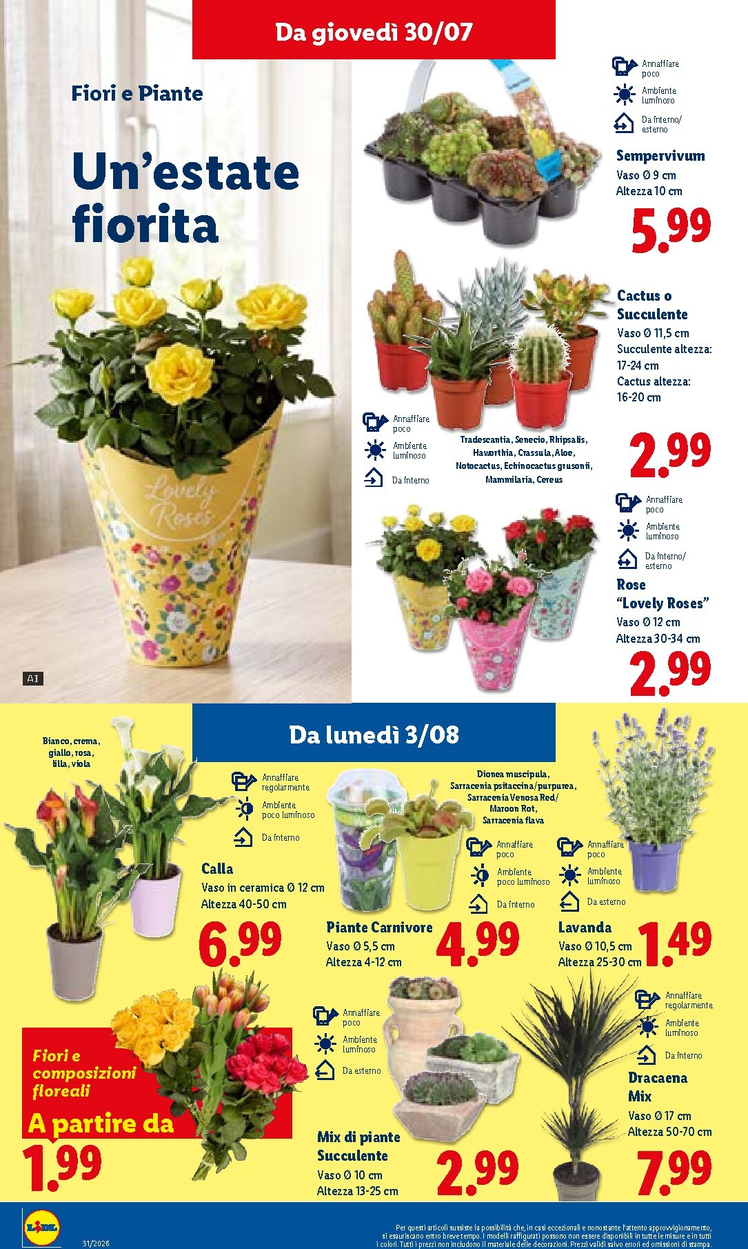 lidl - Volantino attuale di Lidl valido dal giovedì 30/07/2026 al mercoledì 05/08/2026 - page: 30