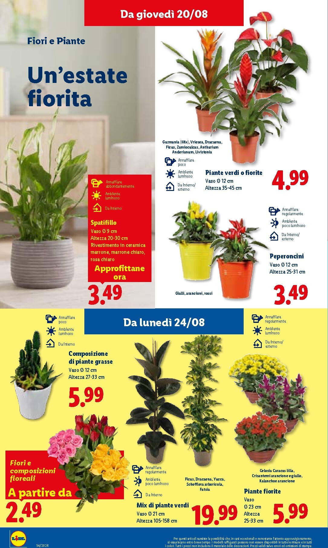 lidl - Volantino Lidl per la prossima settimana dal giovedì 20/08/2026 al mercoledì 26/08/2026 - page: 26