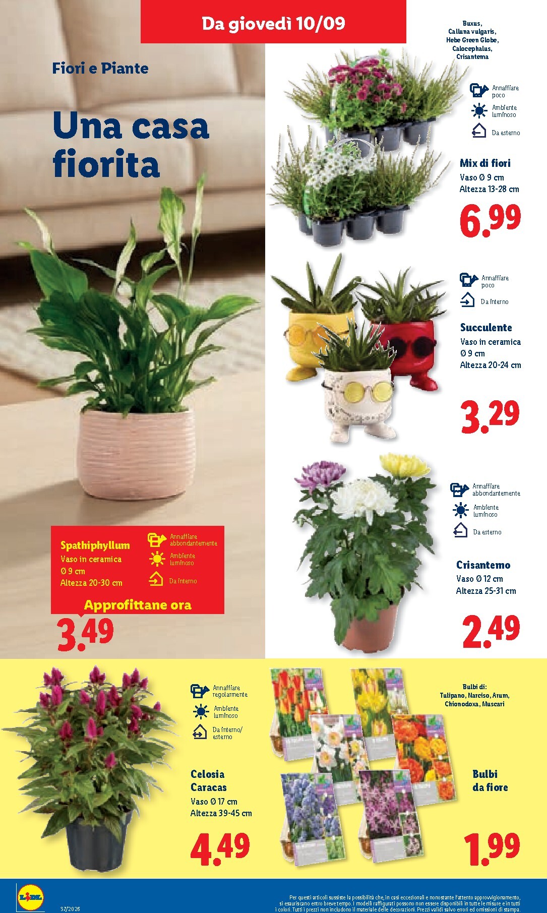 lidl - Volantino Lidl per la prossima settimana dal giovedì 10/09/2026 al mercoledì 16/09/2026 - page: 46