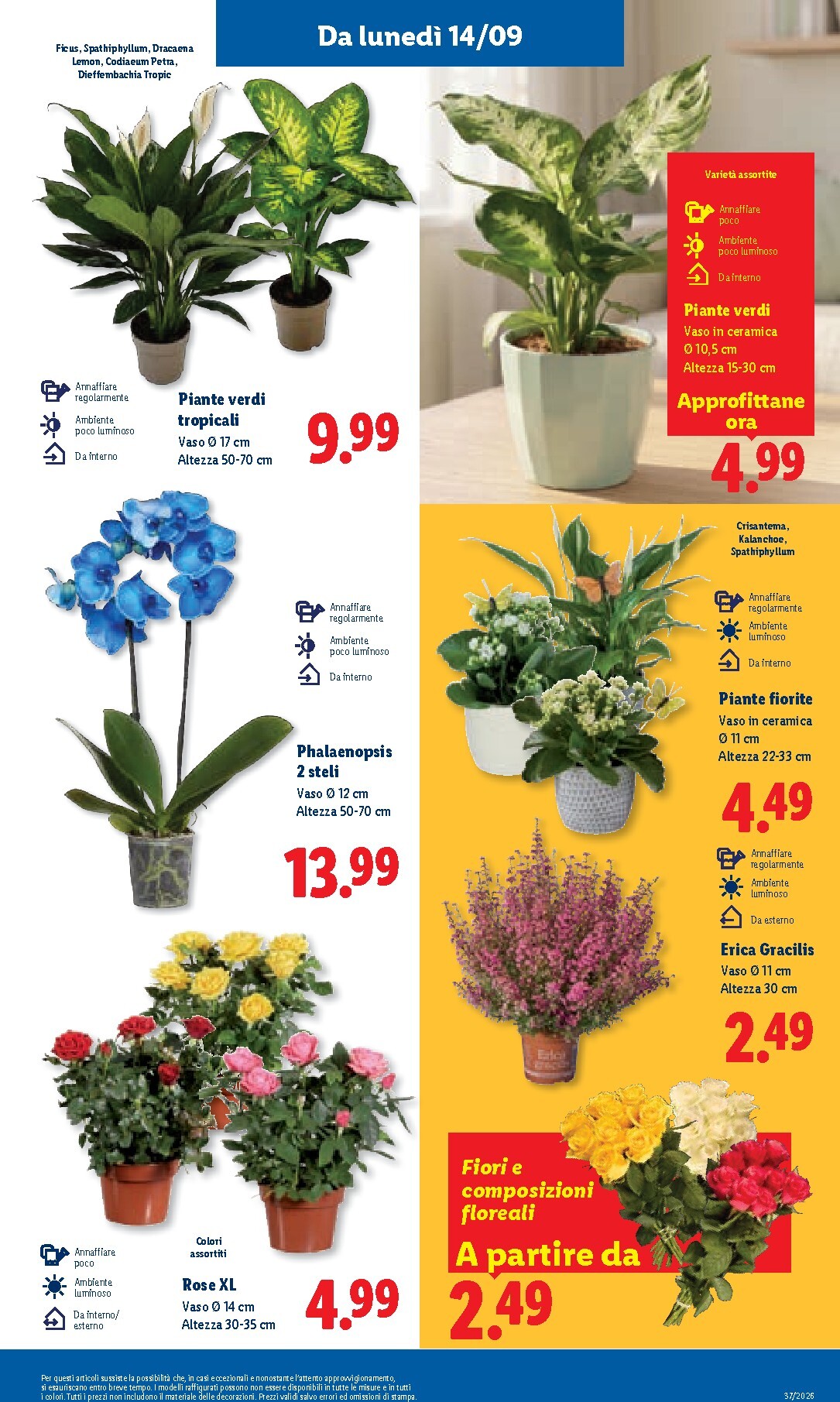 lidl - Volantino futuro Lidl valido dal giovedì 10/09/2026 al mercoledì 16/09/2026 - page: 47