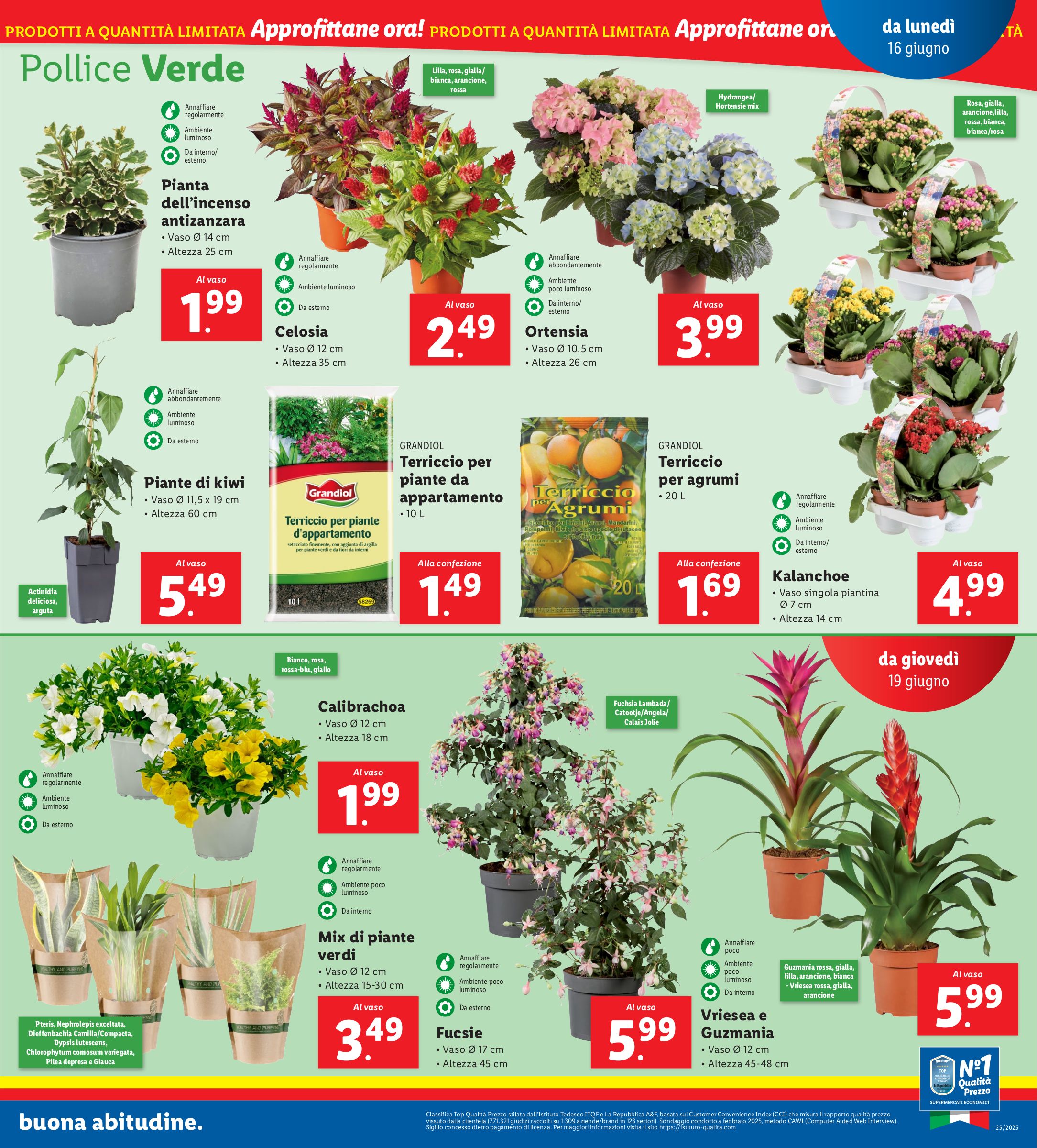 lidl - Volantino Lidl valido dal 16/06 al 22/06 - page: 27 lidl - Volantino Lidl valido dal 16/06 al 22/06 - page: 27