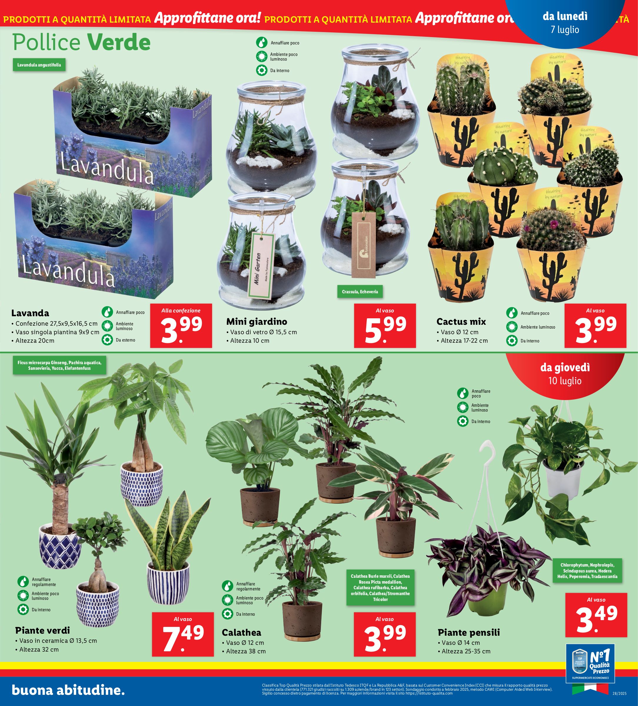 lidl - Volantino Lidl valido dal 07/07 al 13/07 - page: 33 lidl - Volantino Lidl valido dal 07/07 al 13/07 - page: 33