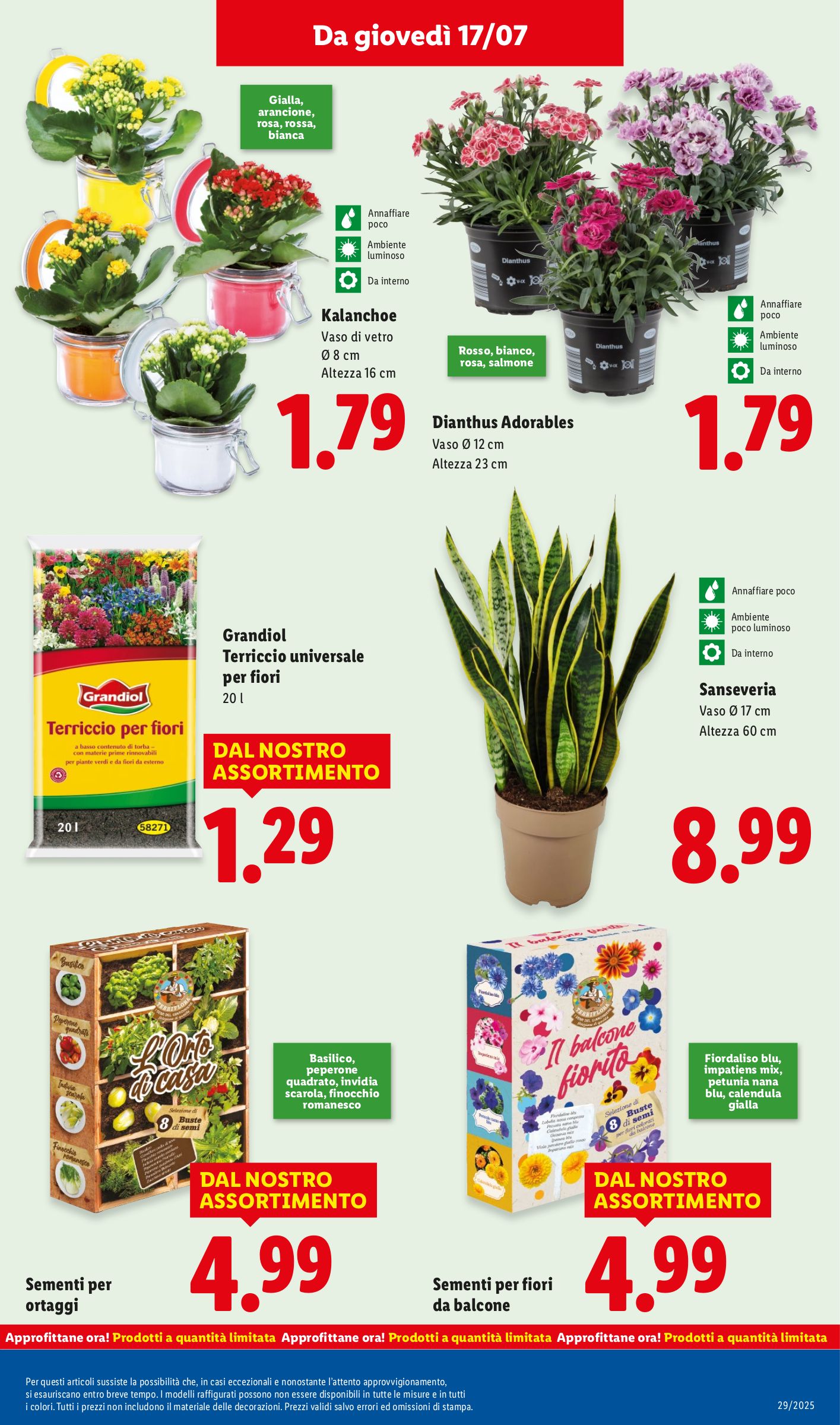 lidl - Volantino Lidl valido dal 14/07 al 20/07 - page: 37 lidl - Volantino Lidl valido dal 14/07 al 20/07 - page: 37