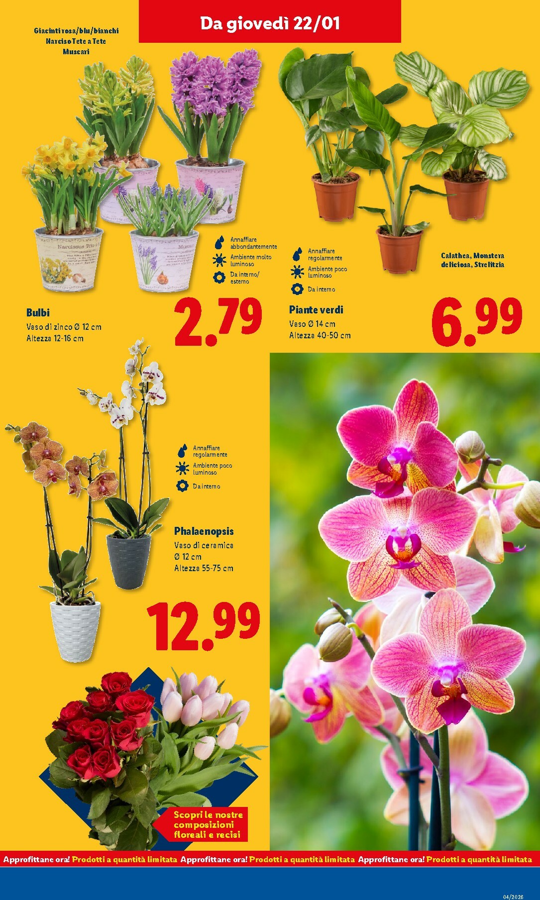 lidl - Volantino Lidl valido dal 19/01 al 25/01 - page: 39