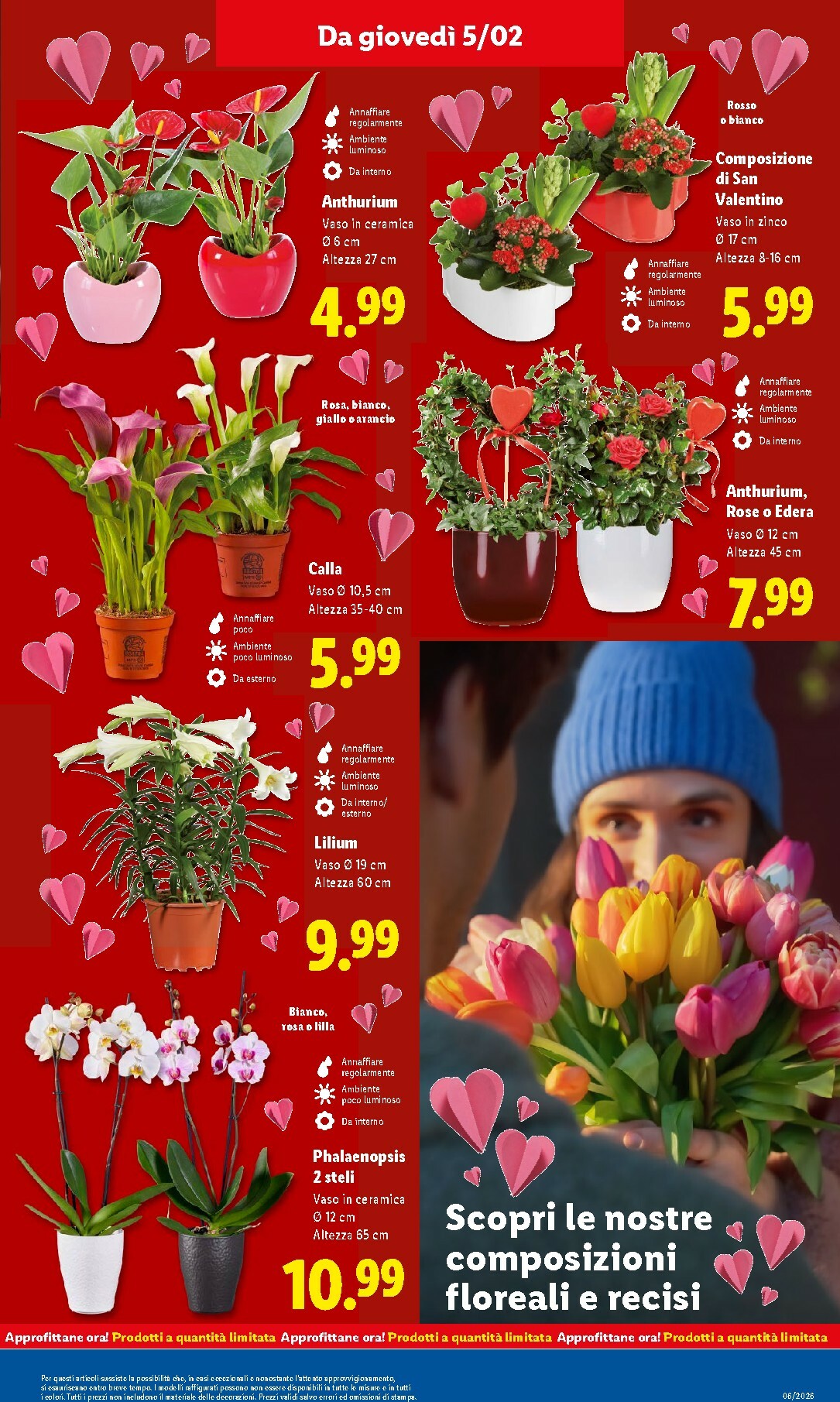 lidl - Volantino Lidl valido dal 02/02 al 08/02 - page: 29