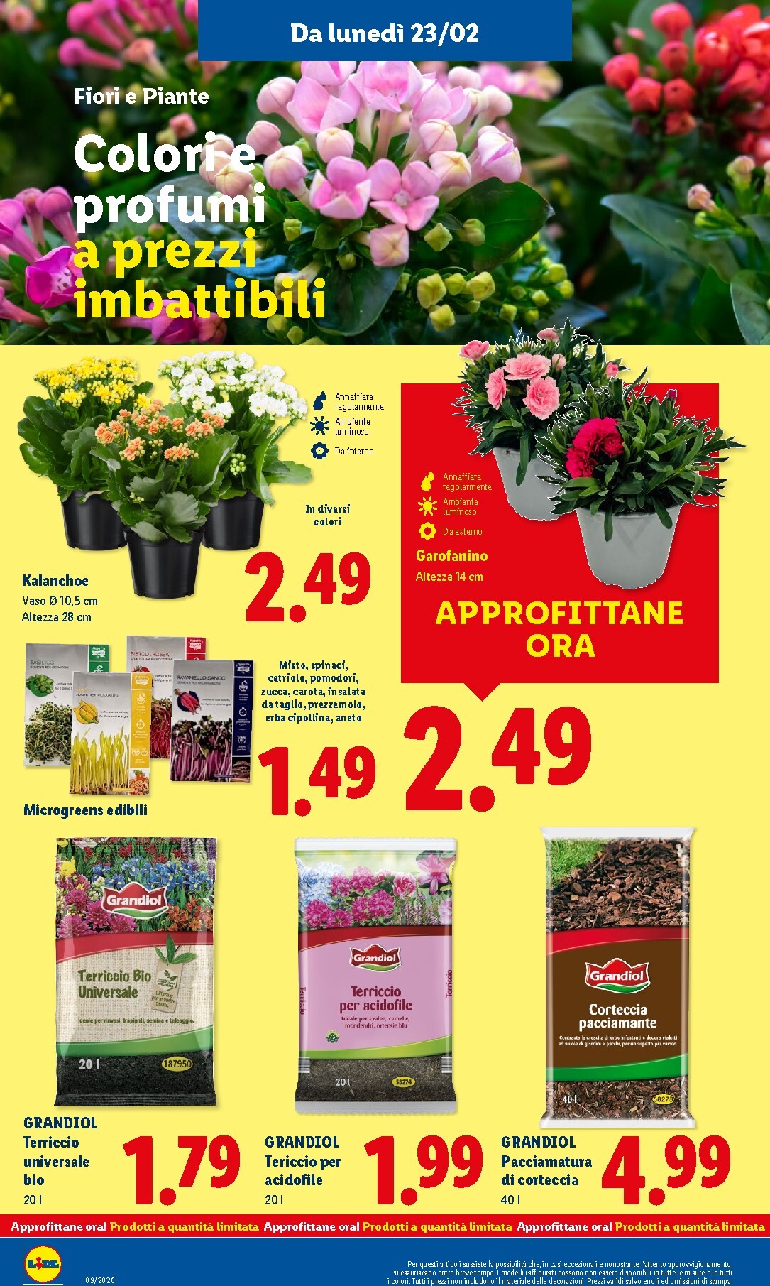 lidl - Volantino Lidl valido dal 23/02/2026 al 01/03/2026 - page: 38