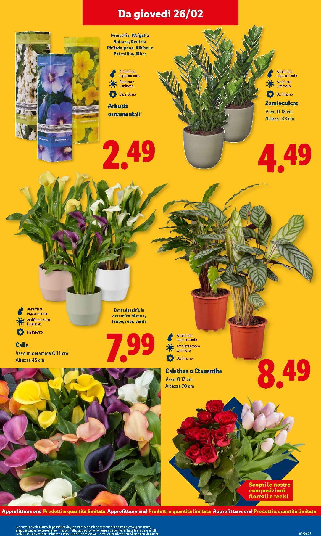 lidl - Volantino Lidl valido dal 23/02/2026 al 01/03/2026 - page: 39