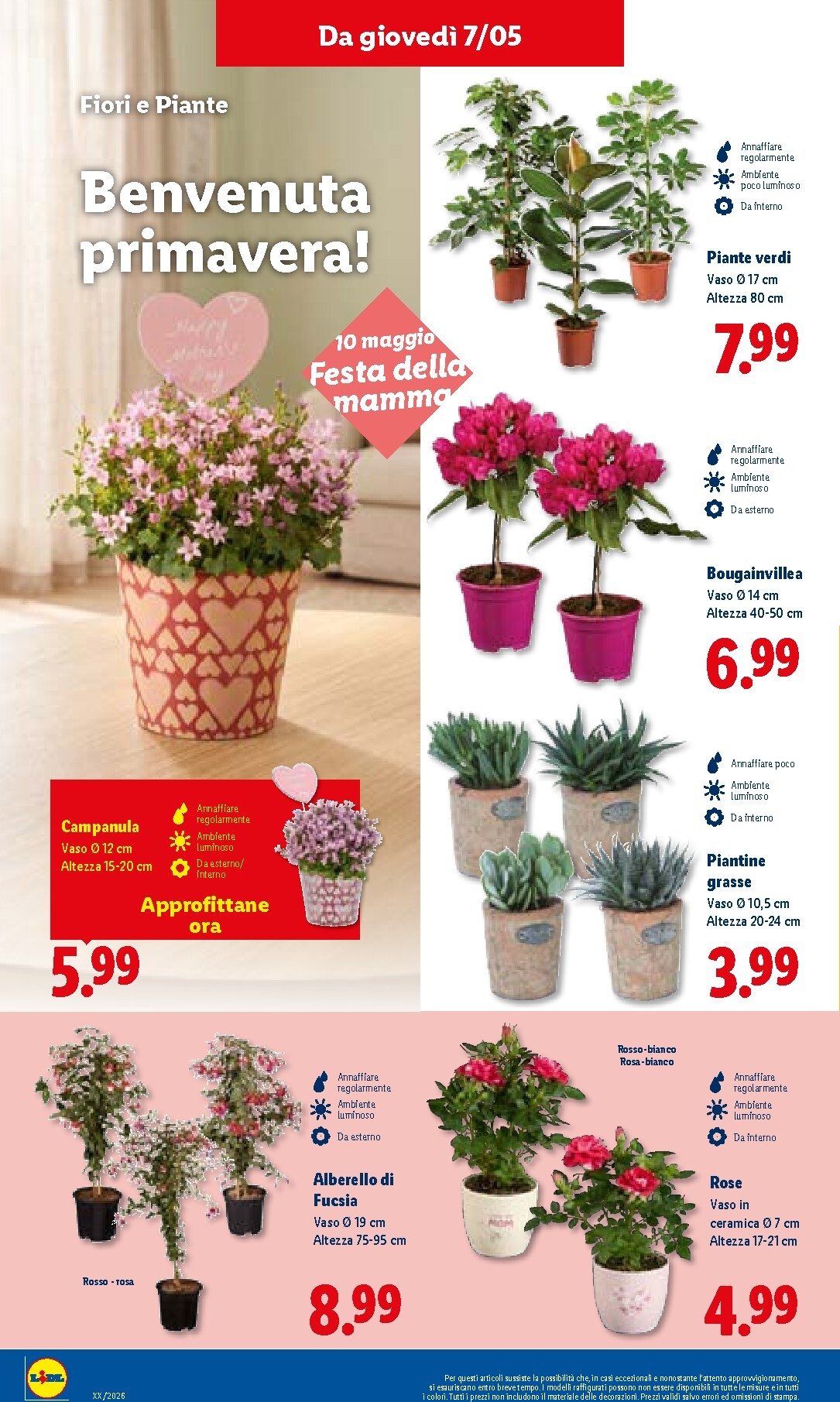 lidl - Volantino Lidl per la prossima settimana dal giovedì 07/05/2026 al mercoledì 13/05/2026 - page: 30