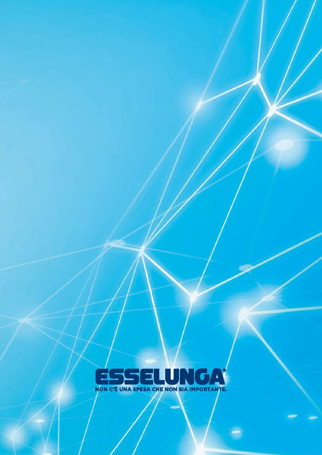 esselunga - Volantino attuale di Esselunga - Speciale Elettrodomestici valido dal mercoledì 15/07/2026 al mercoledì 30/09/2026 - page: 12