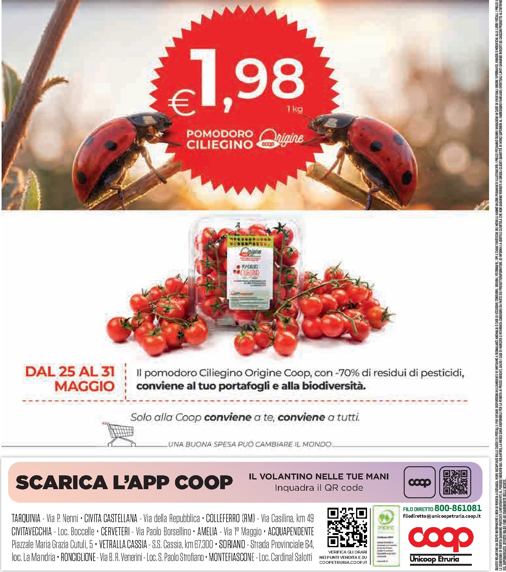 coop - Volantino attuale di Coop valido dal giovedì 21/05/2026 al mercoledì 03/06/2026 - page: 24