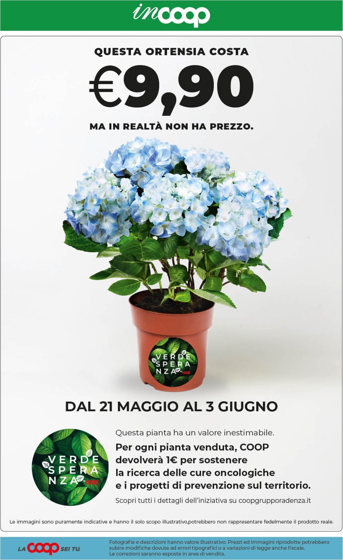 coop - Volantino attuale di inCoop valido dal venerdì 29/05/2026 al lunedì 08/06/2026 - page: 20