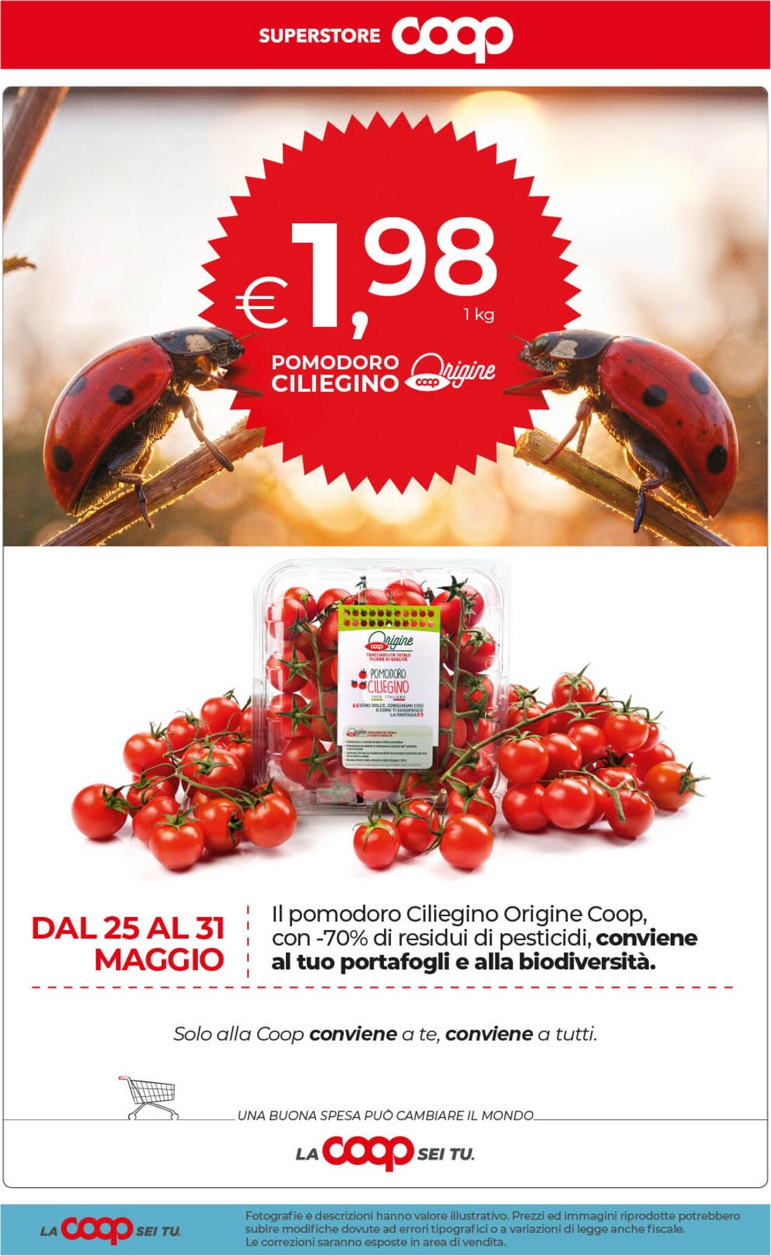 coop - Volantino attuale di Coop Superstore valido dal venerdì 29/05/2026 al lunedì 08/06/2026 - page: 53