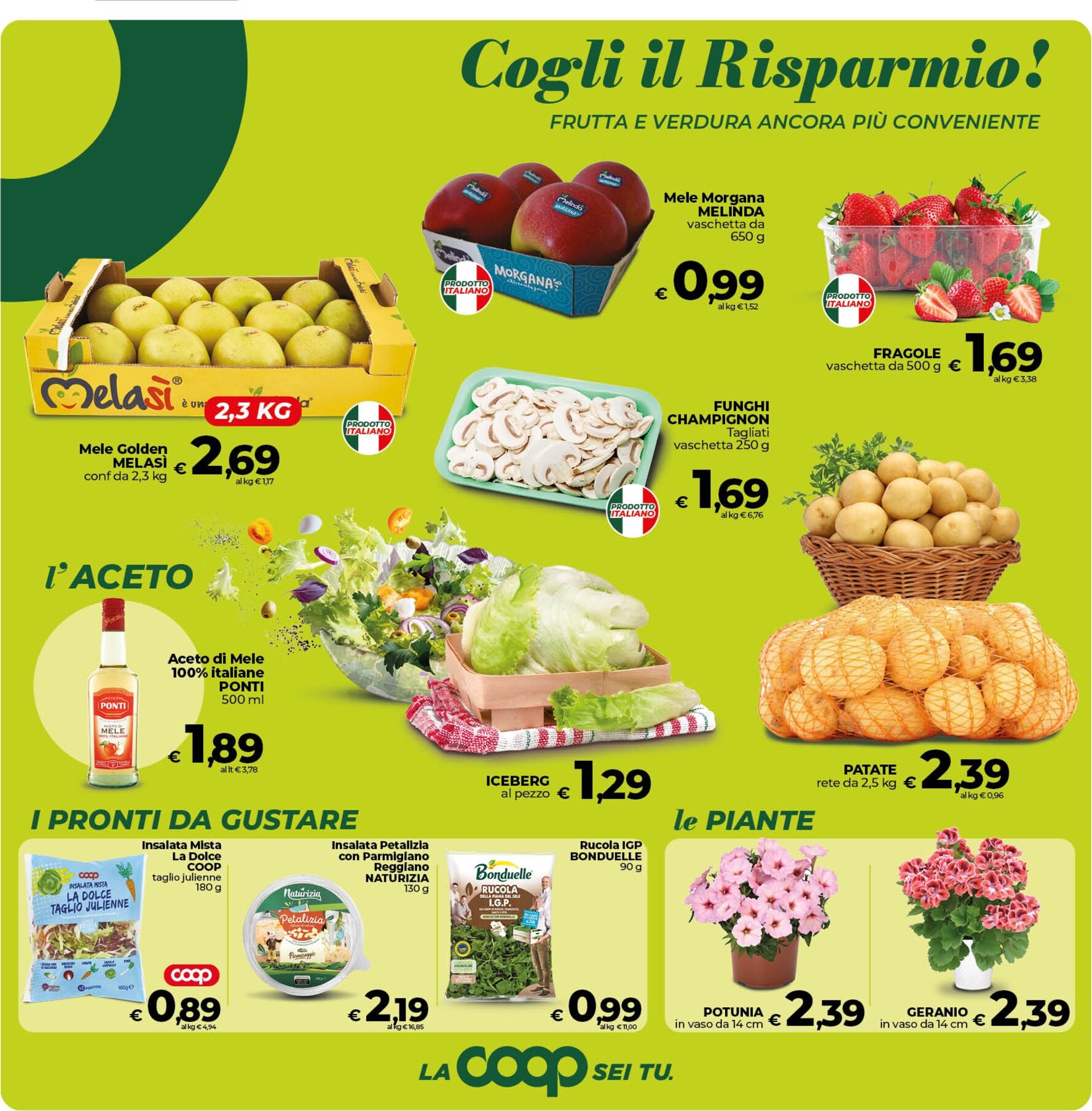 coop - Volantino attuale di Coop valido dal venerdì 17/04/2026 al lunedì 27/04/2026 - page: 9