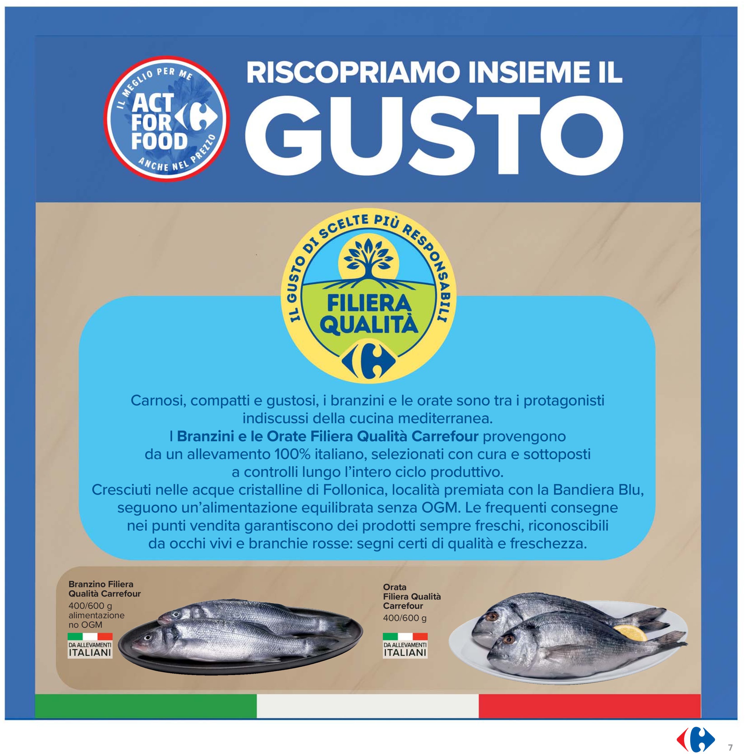 carrefour - Volantino Carrefour - Sottocosto Freschi valido dal 16/05 al 28/05 - page: 7