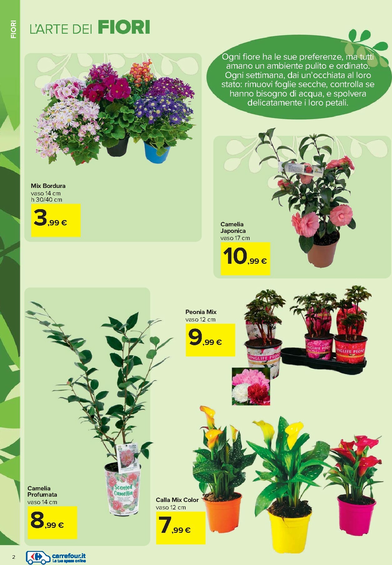 carrefour - Volantino Carrefour - Catalogo giardinaggio valido dal 19/02/2026 al 06/04/2026 - page: 2