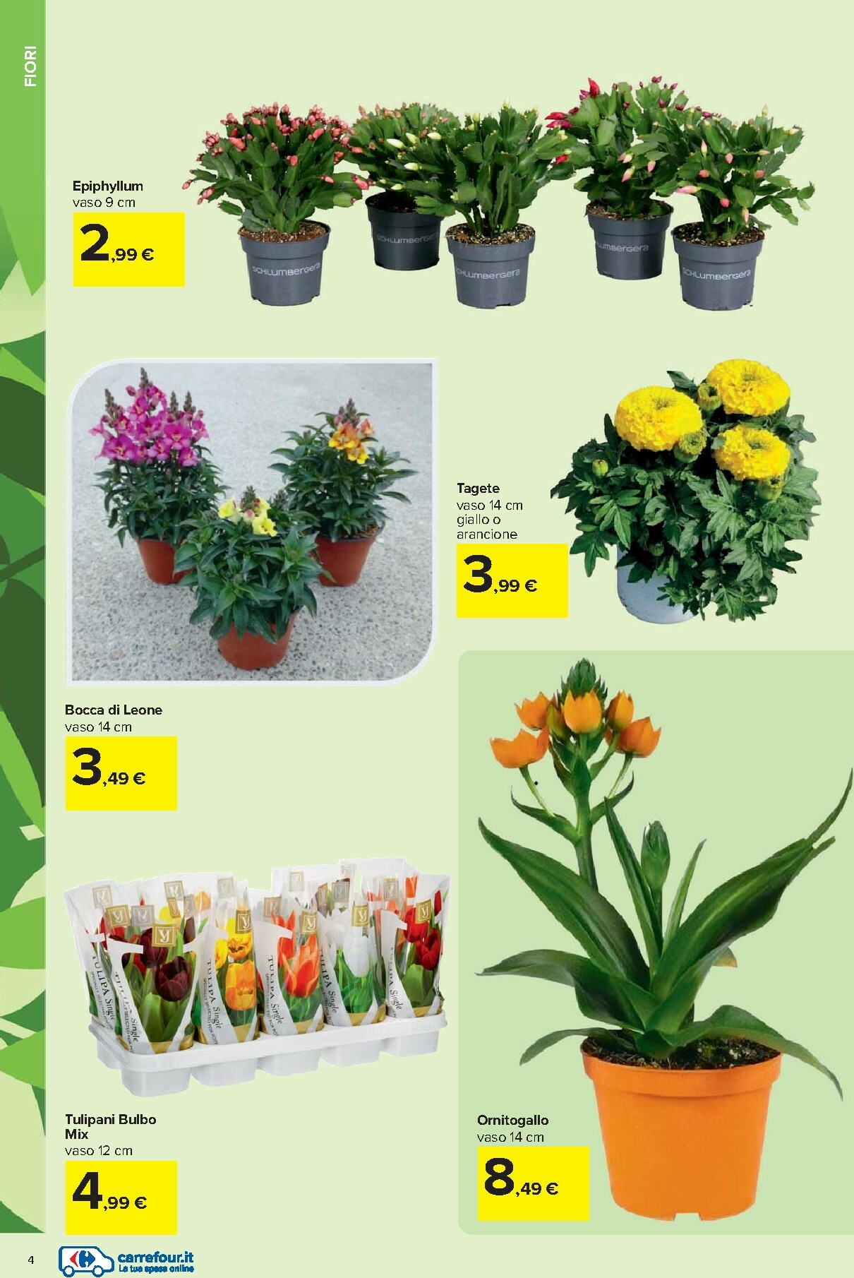 carrefour - Volantino Carrefour - Catalogo giardinaggio valido dal 19/02/2026 al 06/04/2026 - page: 4