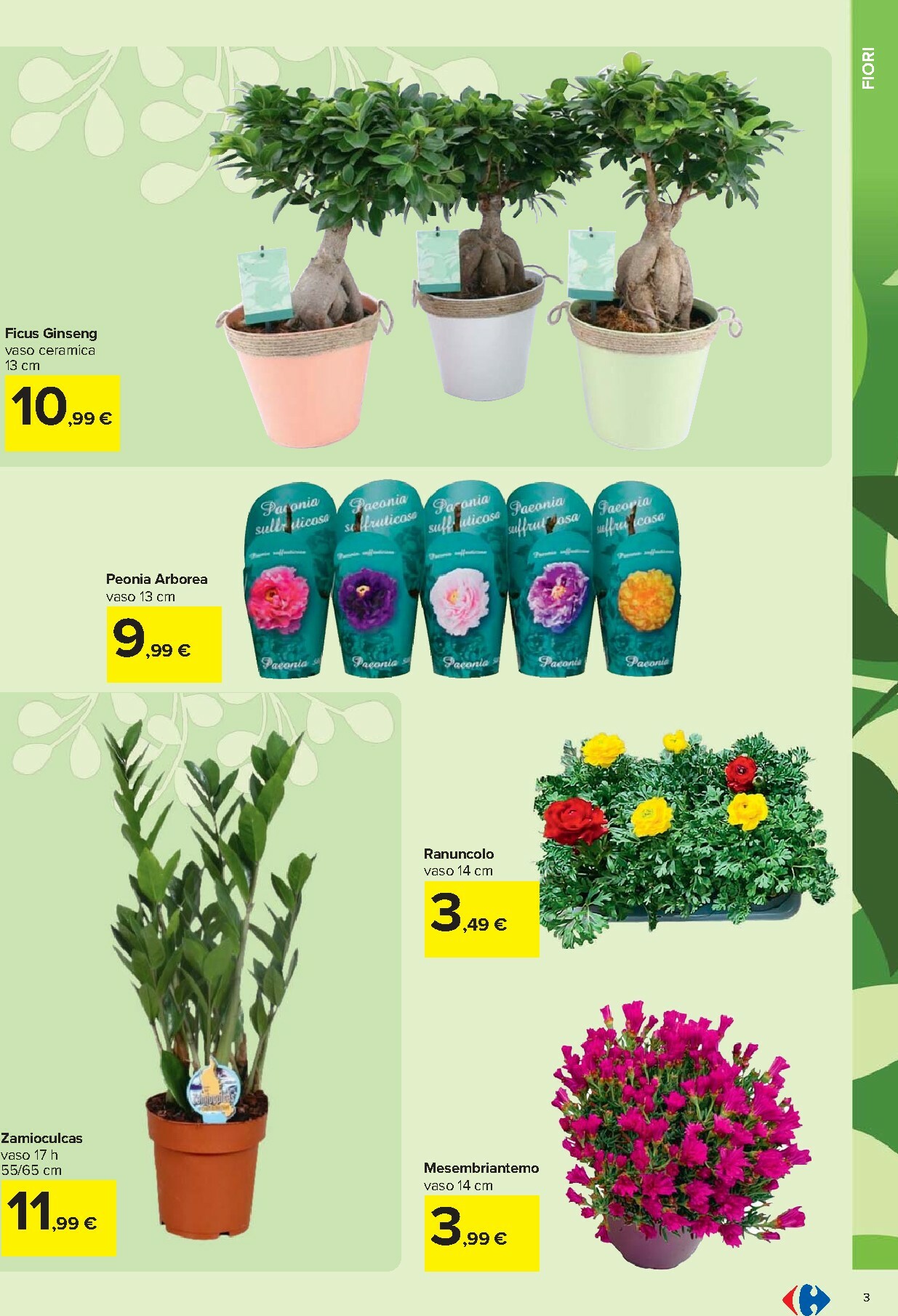 carrefour - Volantino Carrefour - Catalogo giardinaggio valido dal 19/02/2026 al 06/04/2026 - page: 3