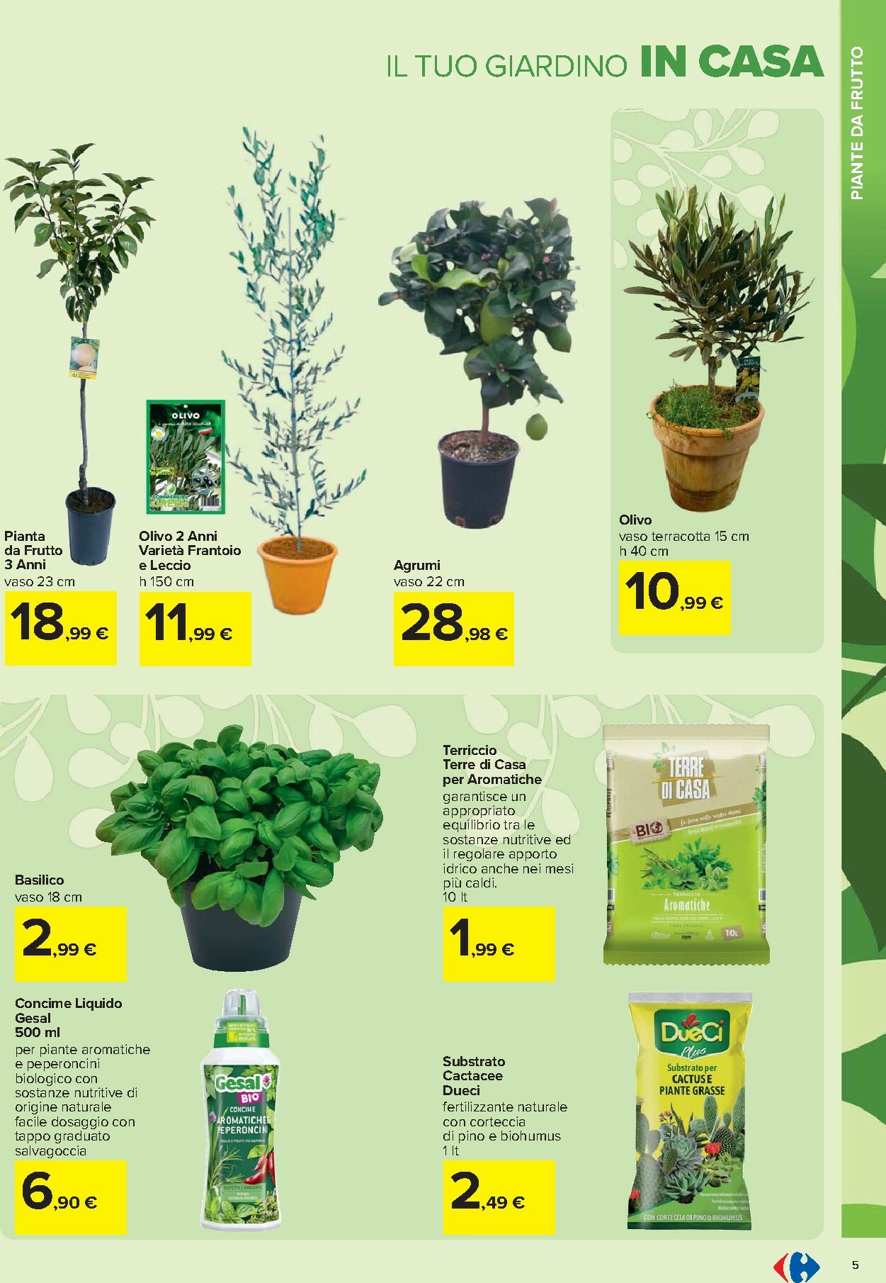carrefour - Volantino Carrefour - Catalogo giardinaggio valido dal 19/02/2026 al 06/04/2026 - page: 5