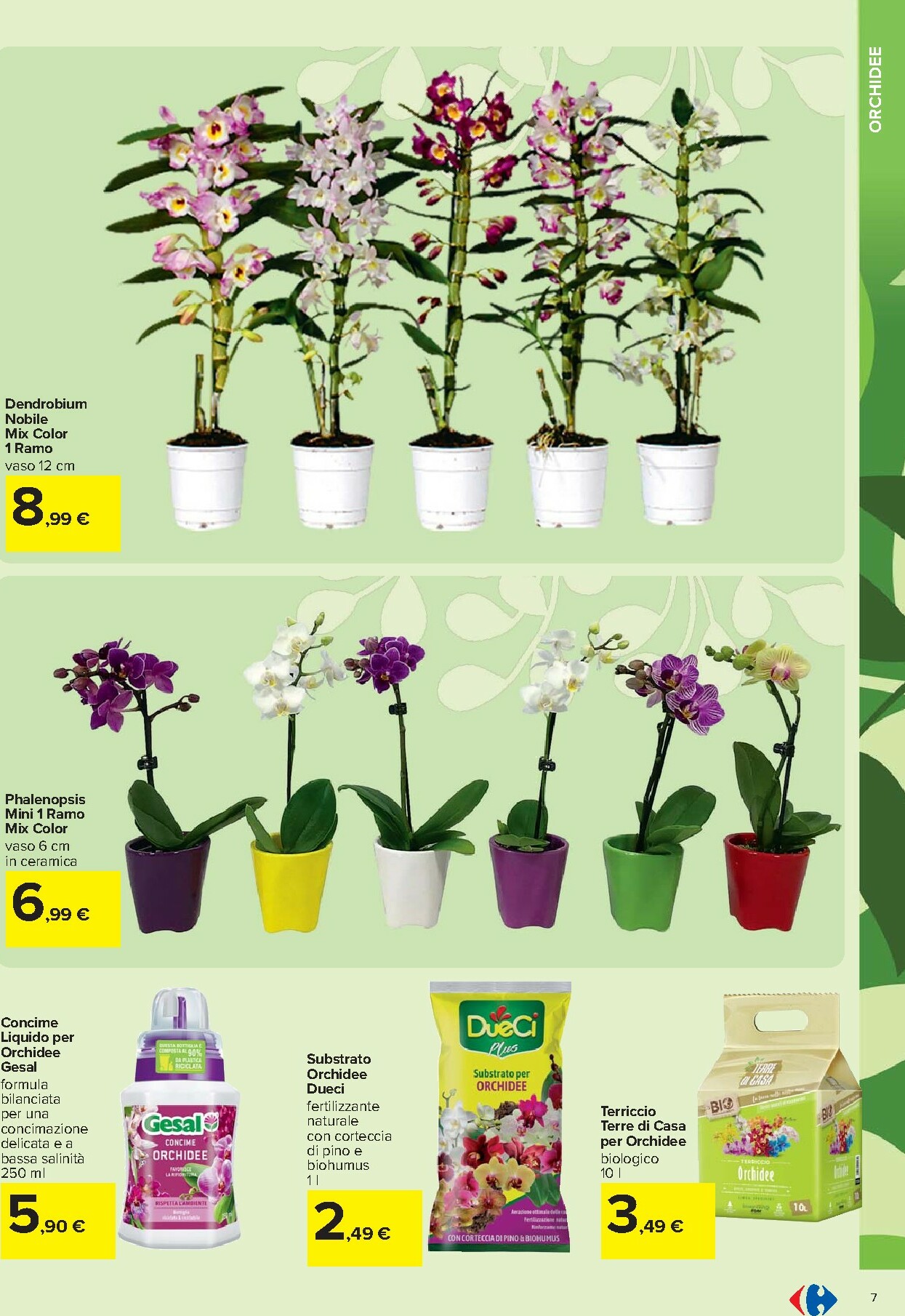 carrefour - Volantino Carrefour - Catalogo giardinaggio valido dal 19/02/2026 al 06/04/2026 - page: 7
