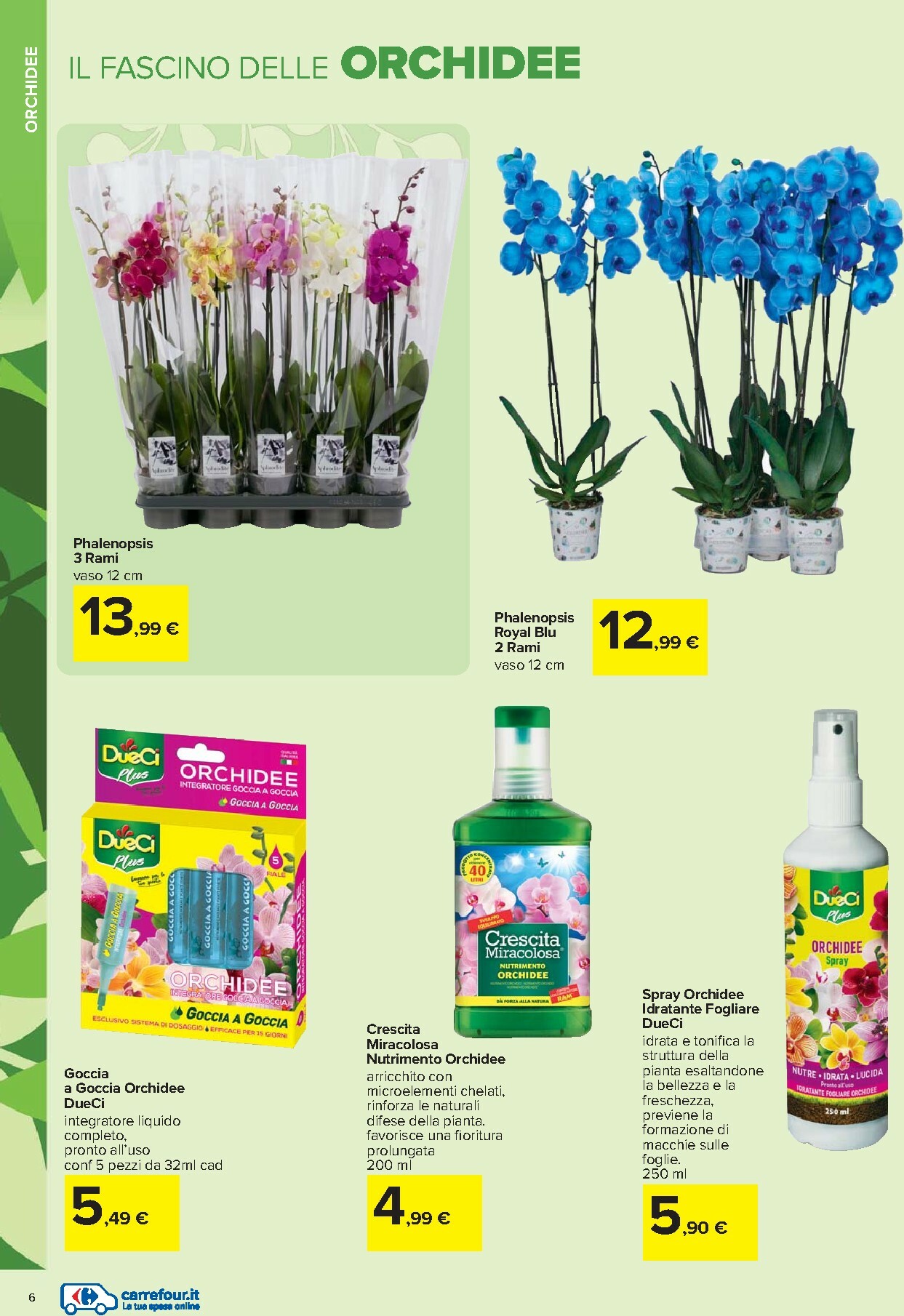 carrefour - Volantino Carrefour - Catalogo giardinaggio valido dal 19/02/2026 al 06/04/2026 - page: 6