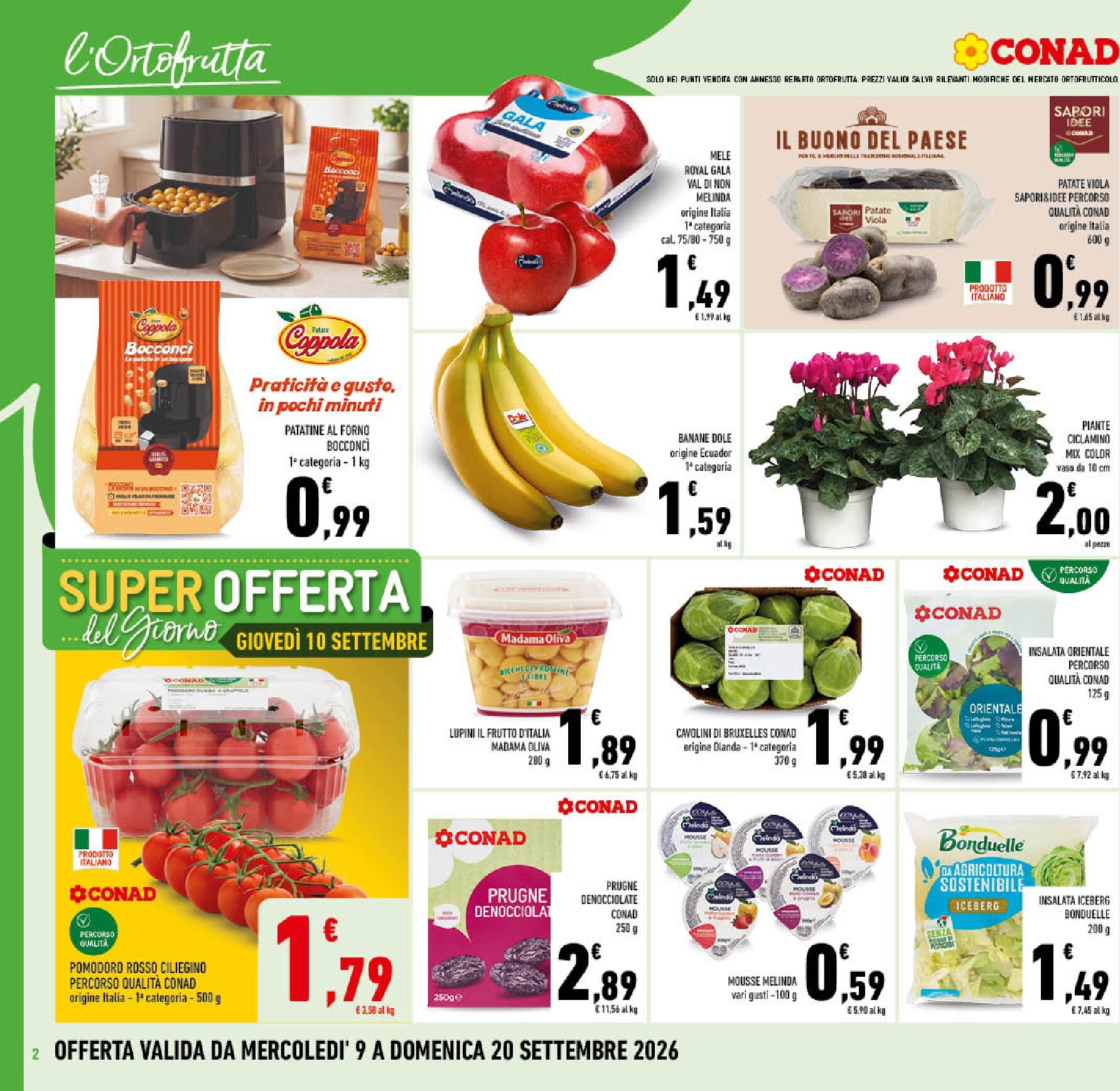 conad - Volantino futuro Conad valido dal mercoledì 09/09/2026 al domenica 20/09/2026 - page: 2