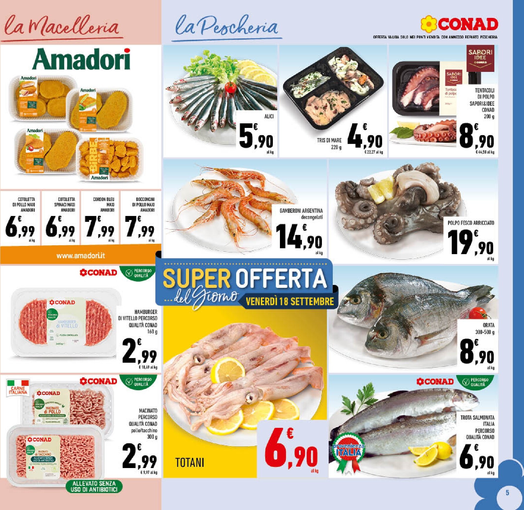 conad - Volantino futuro Conad valido dal mercoledì 09/09/2026 al domenica 20/09/2026 - page: 5