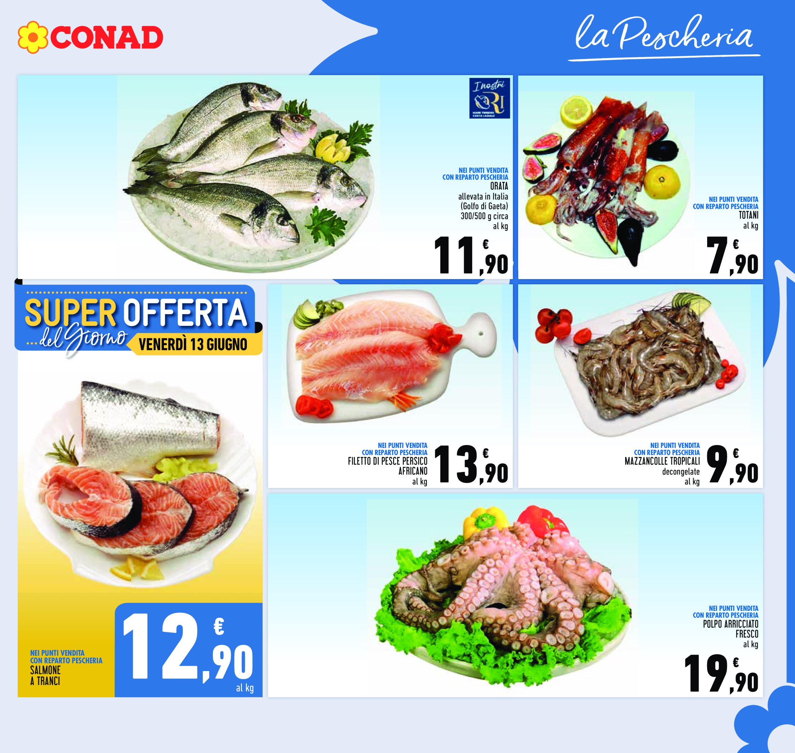 conad - Volantino Conad valido dal 05/06 al 14/06 - page: 13